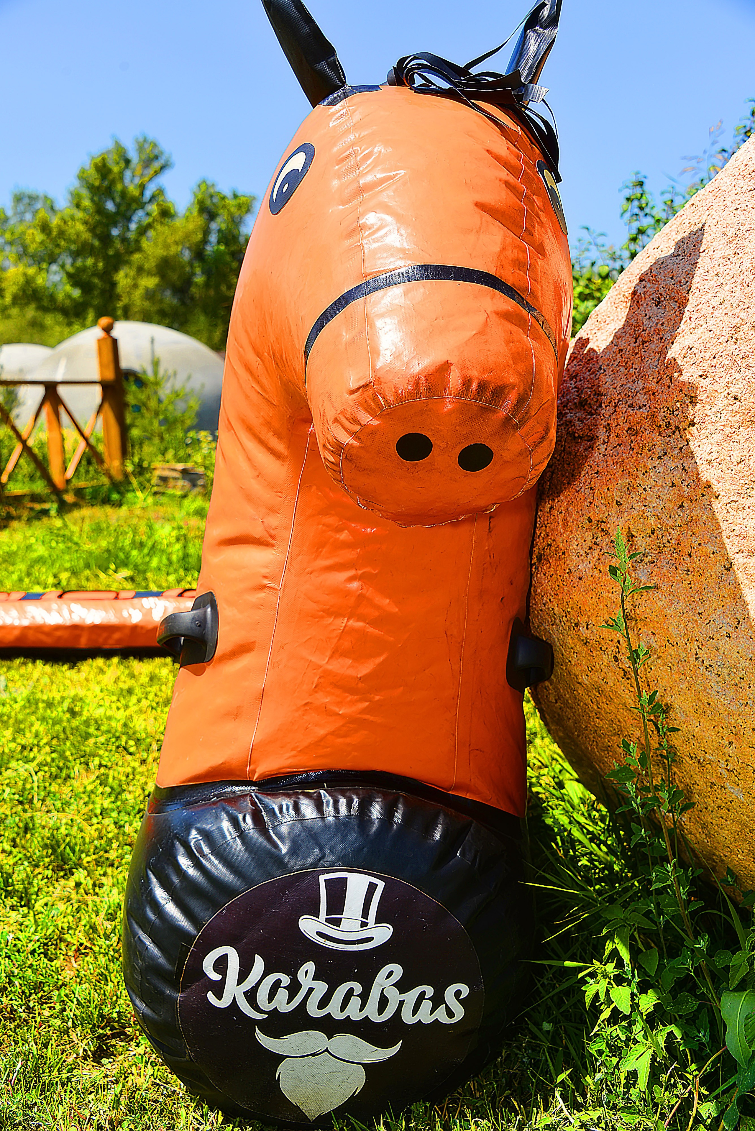 Тимбилдинг-2. Фотосъёмка. Фотограф Сергей Авдеев-семейный и детский фотограф в Алматы