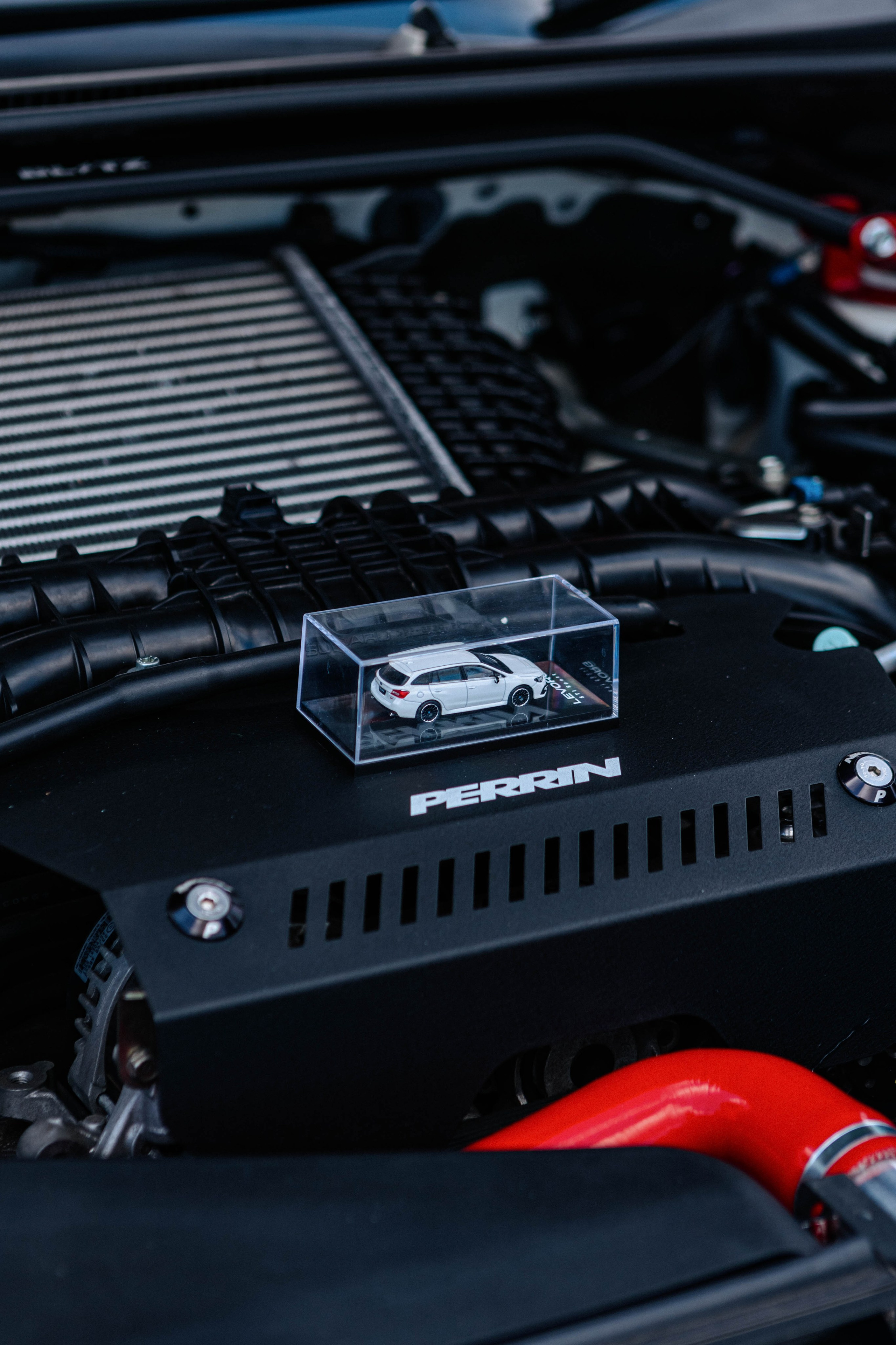 Открытие сезона 2024. Фотограф Александра Кузнецова