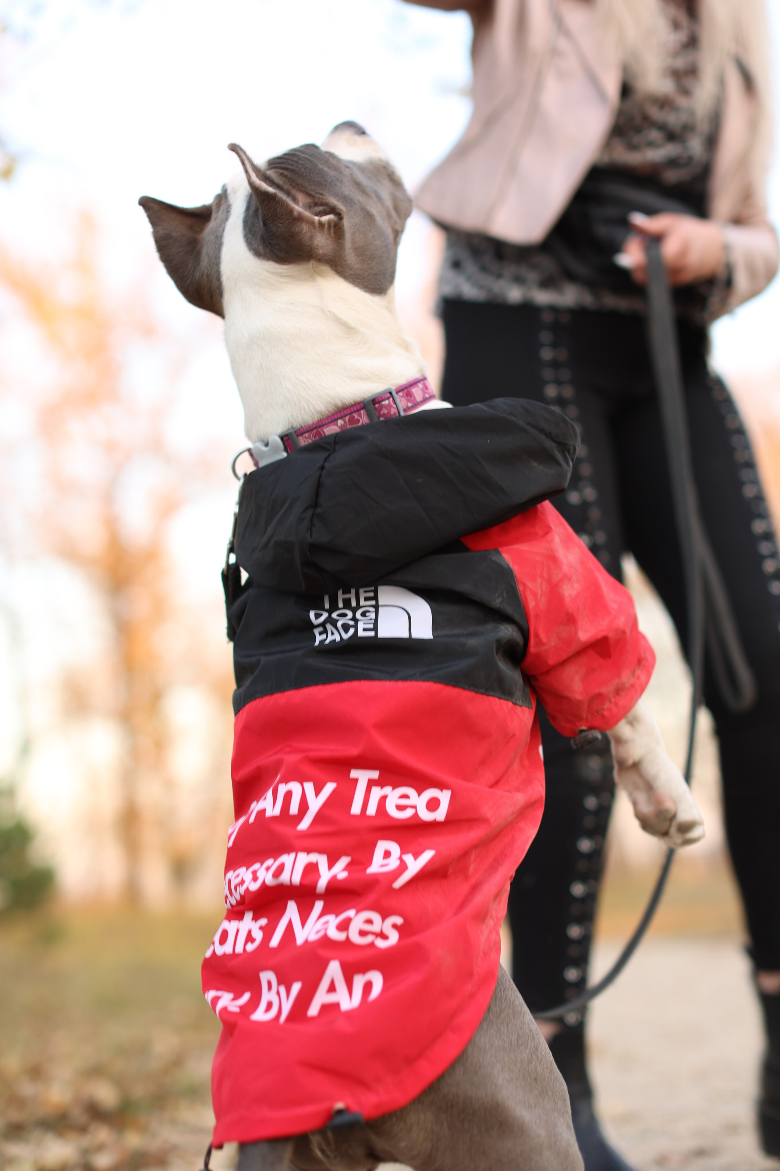 Осень. Art my Pho