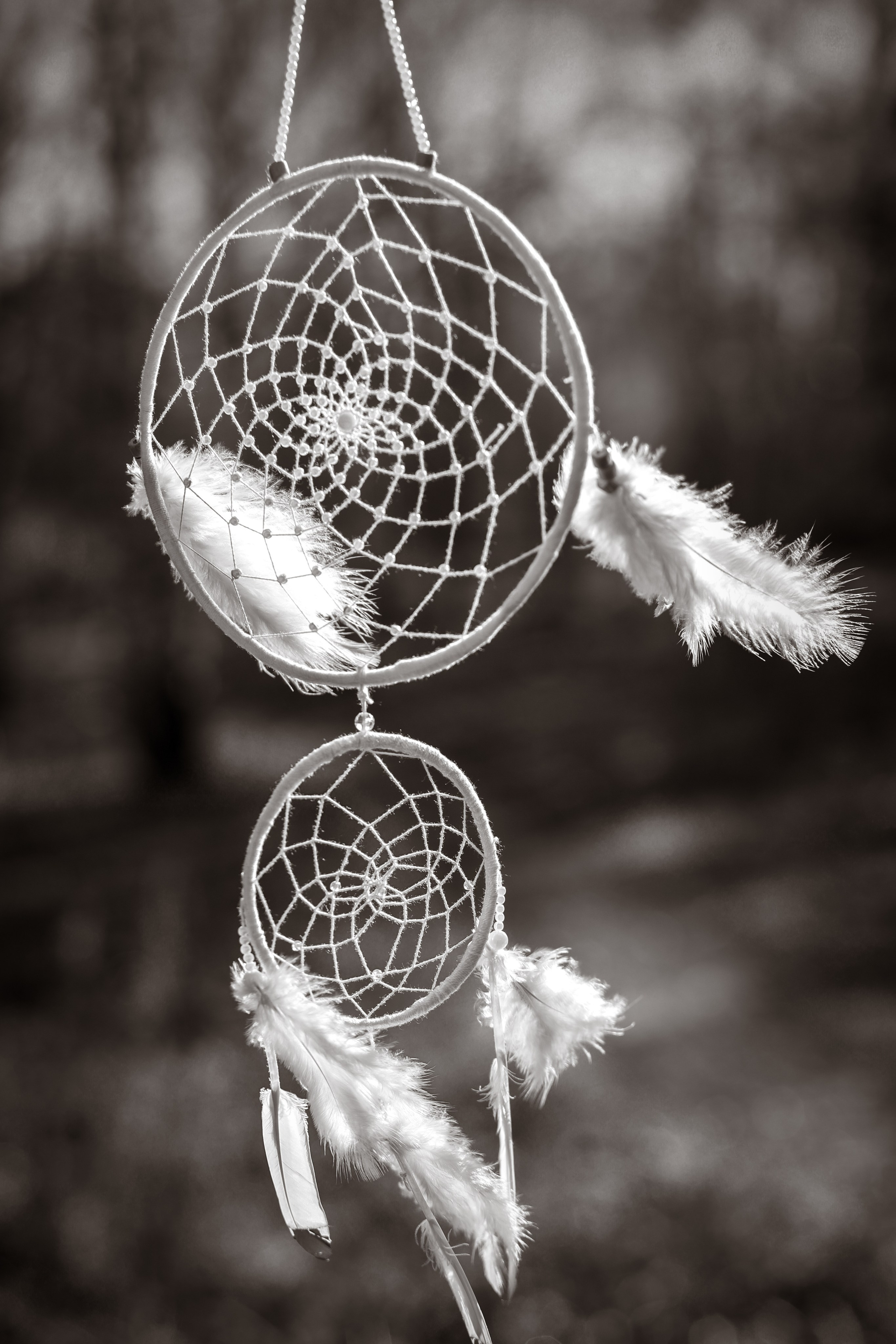 В ожидании Halloween. Art my Pho