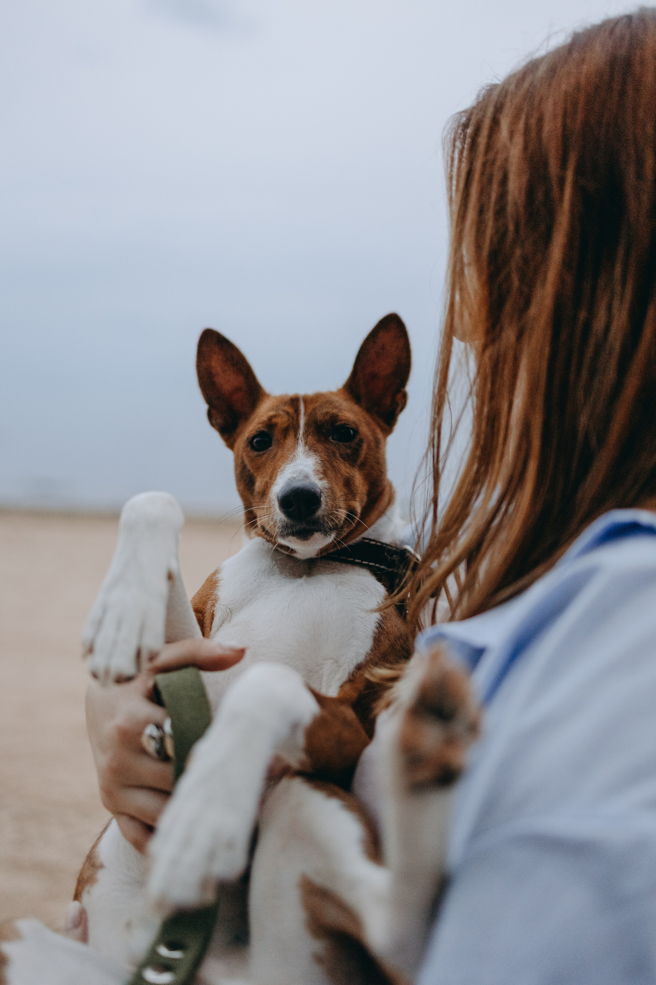 Даша и Арчи. Фотограф — Анималист | Санкт-Петербург