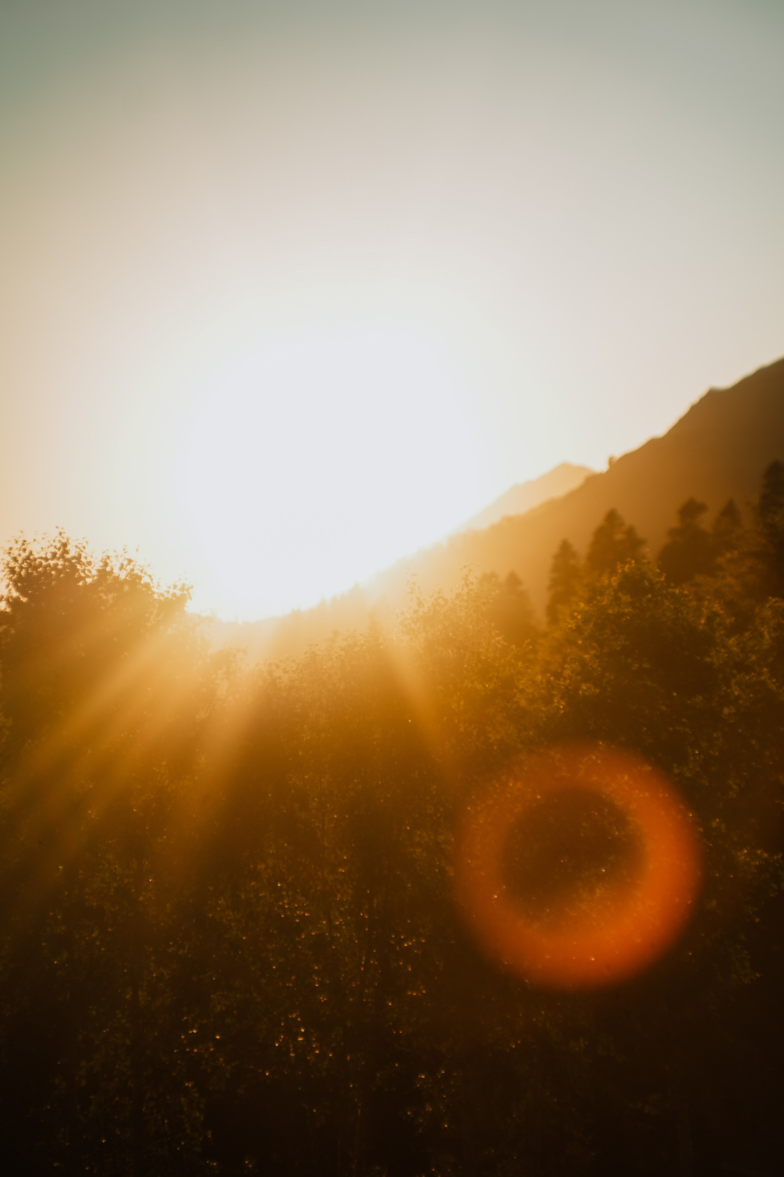 Нахазо ✽ Июль. Репортажный фотограф | Роза Хутор Красная Поляна Сочи Сириус
