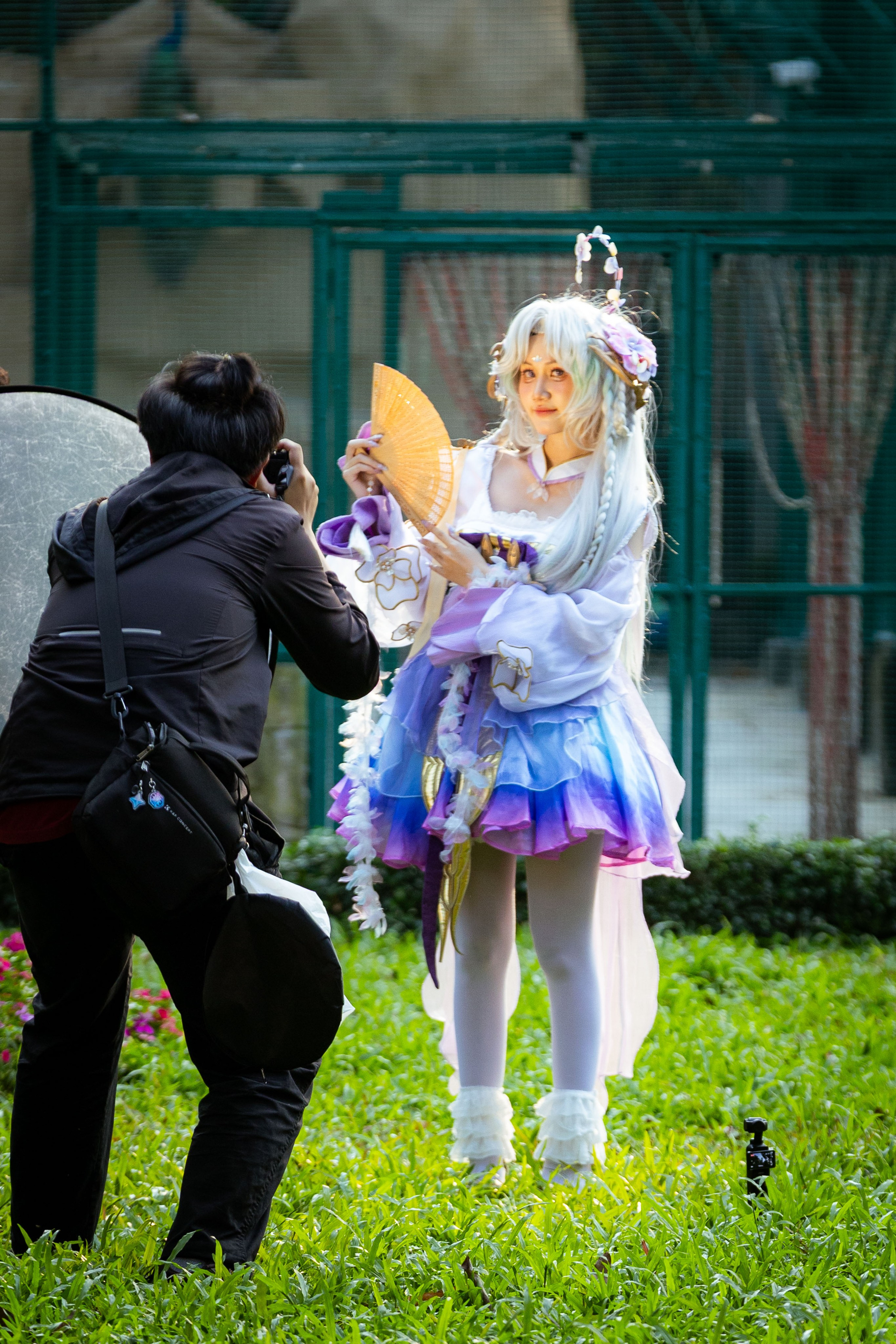 Вьетнам (зима 2025-2026). Фотограф Виноградов Константин