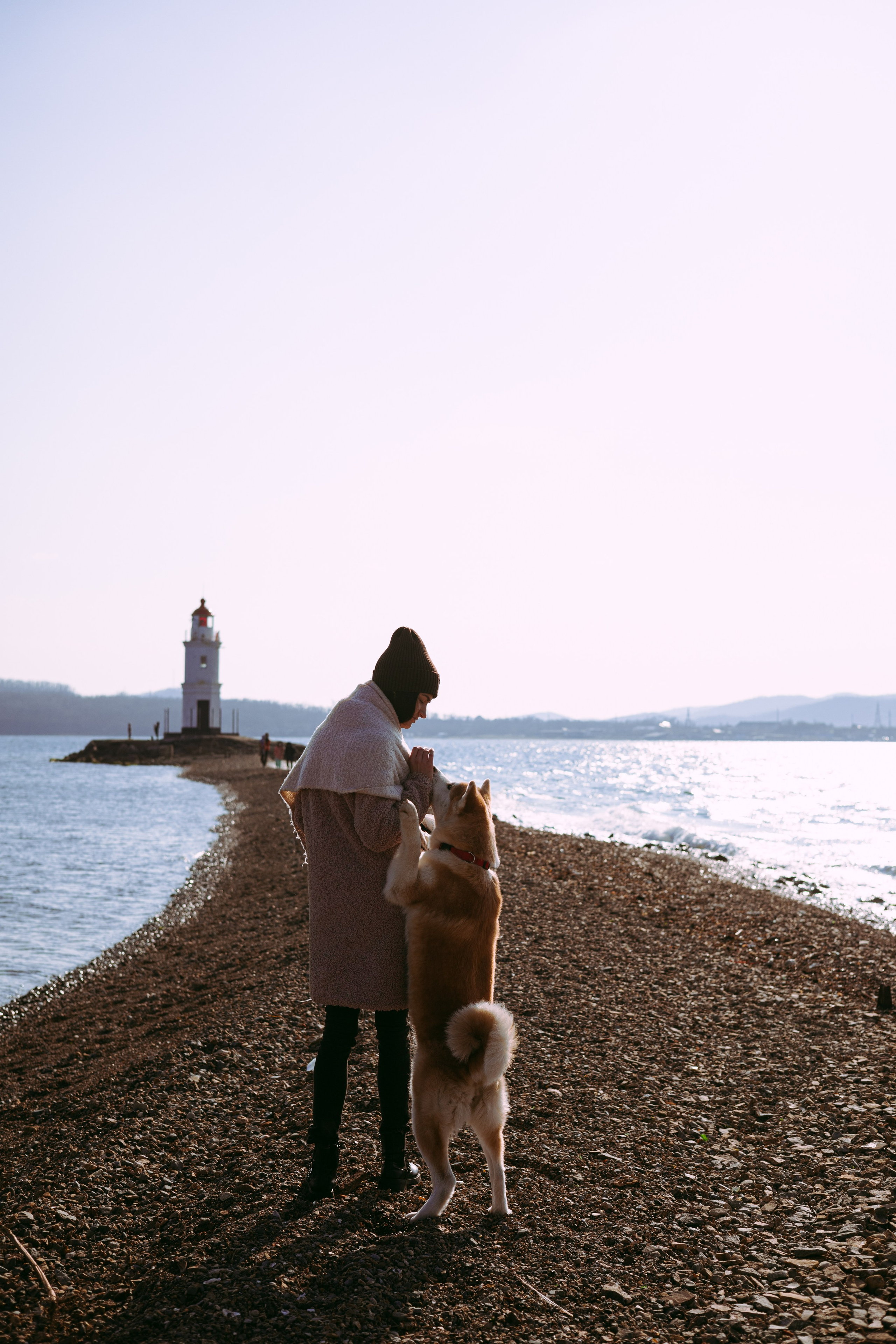 Мария и Бейла. Фотограф — анималист Владивосток, Алина