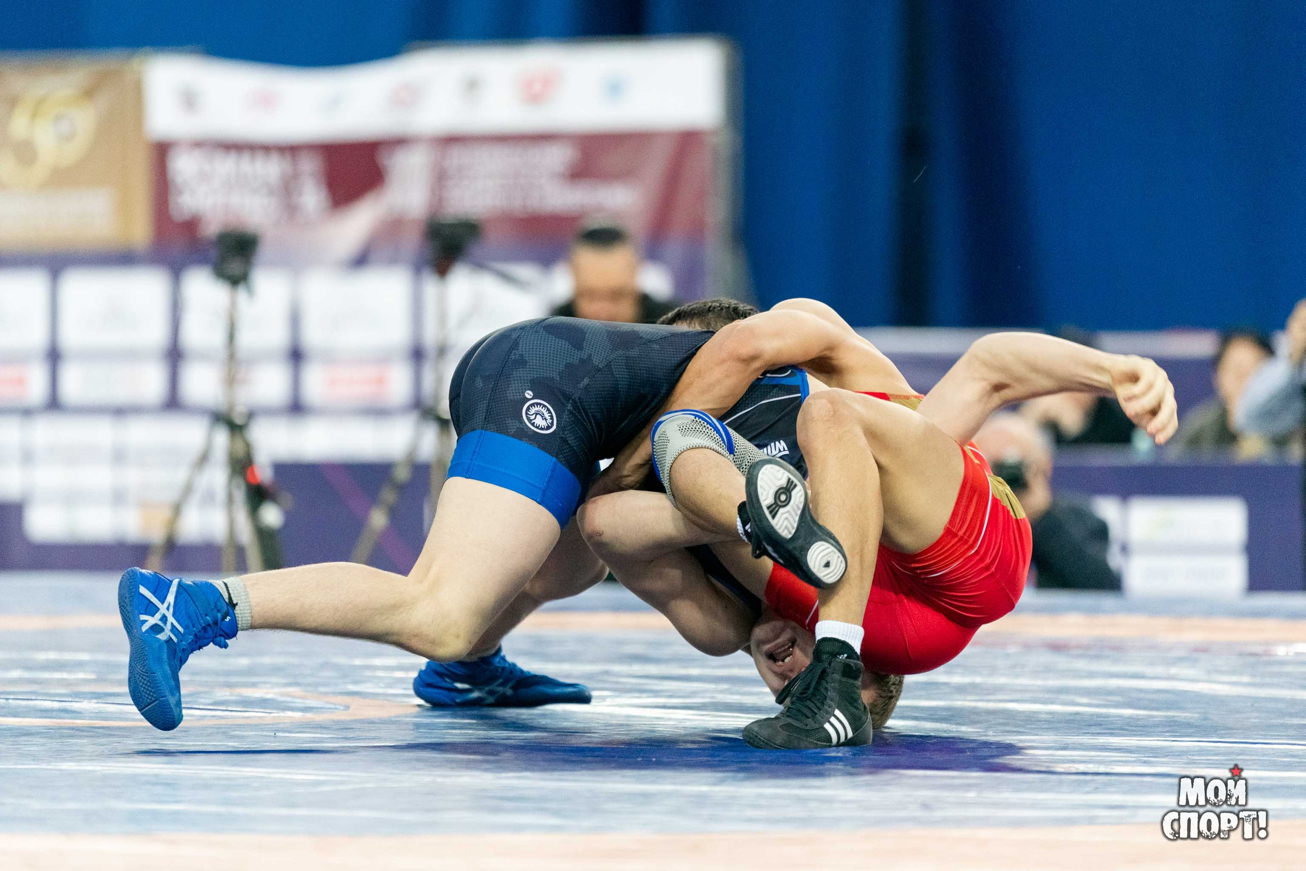 XII Международные соревнования по спортивной борьбе пам. Р. М. Дмитриева. Студия «Мой Спорт!» — все о спорте в Якутии