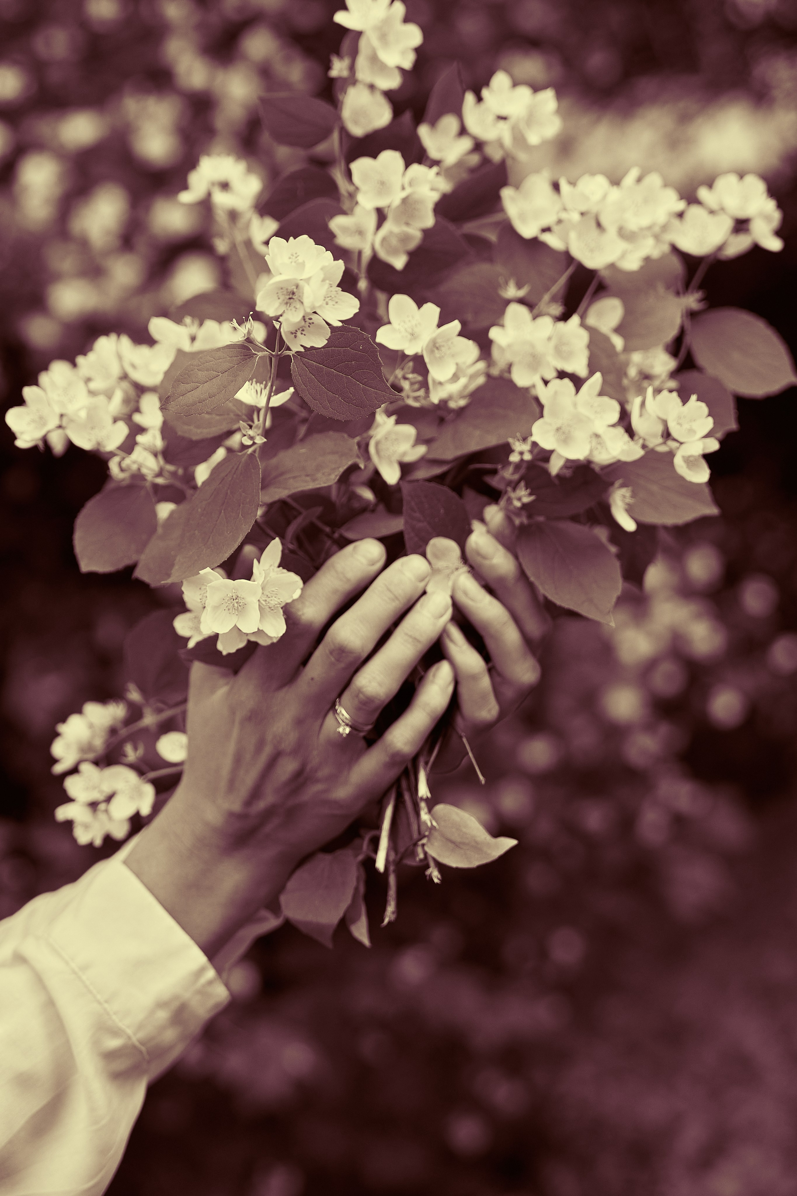 Красивые руки