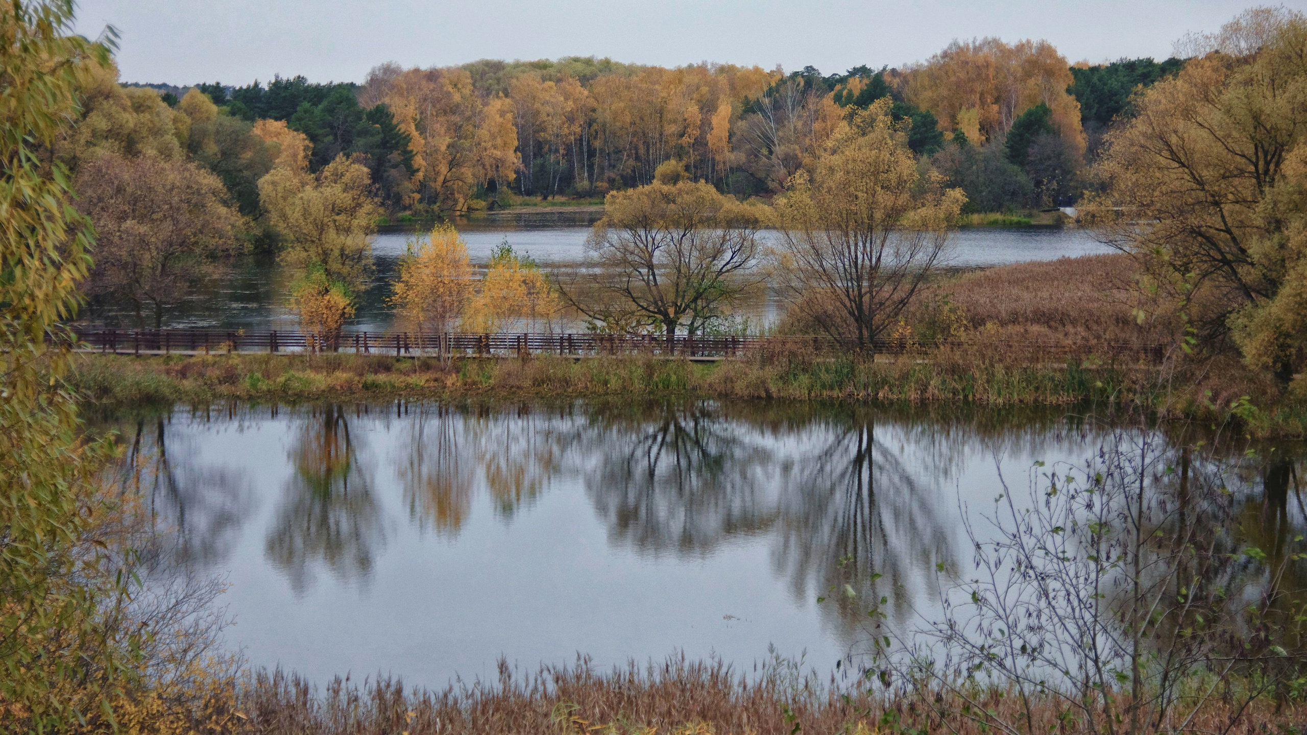 Пейзаж. Семоха Валерий. Фотограф