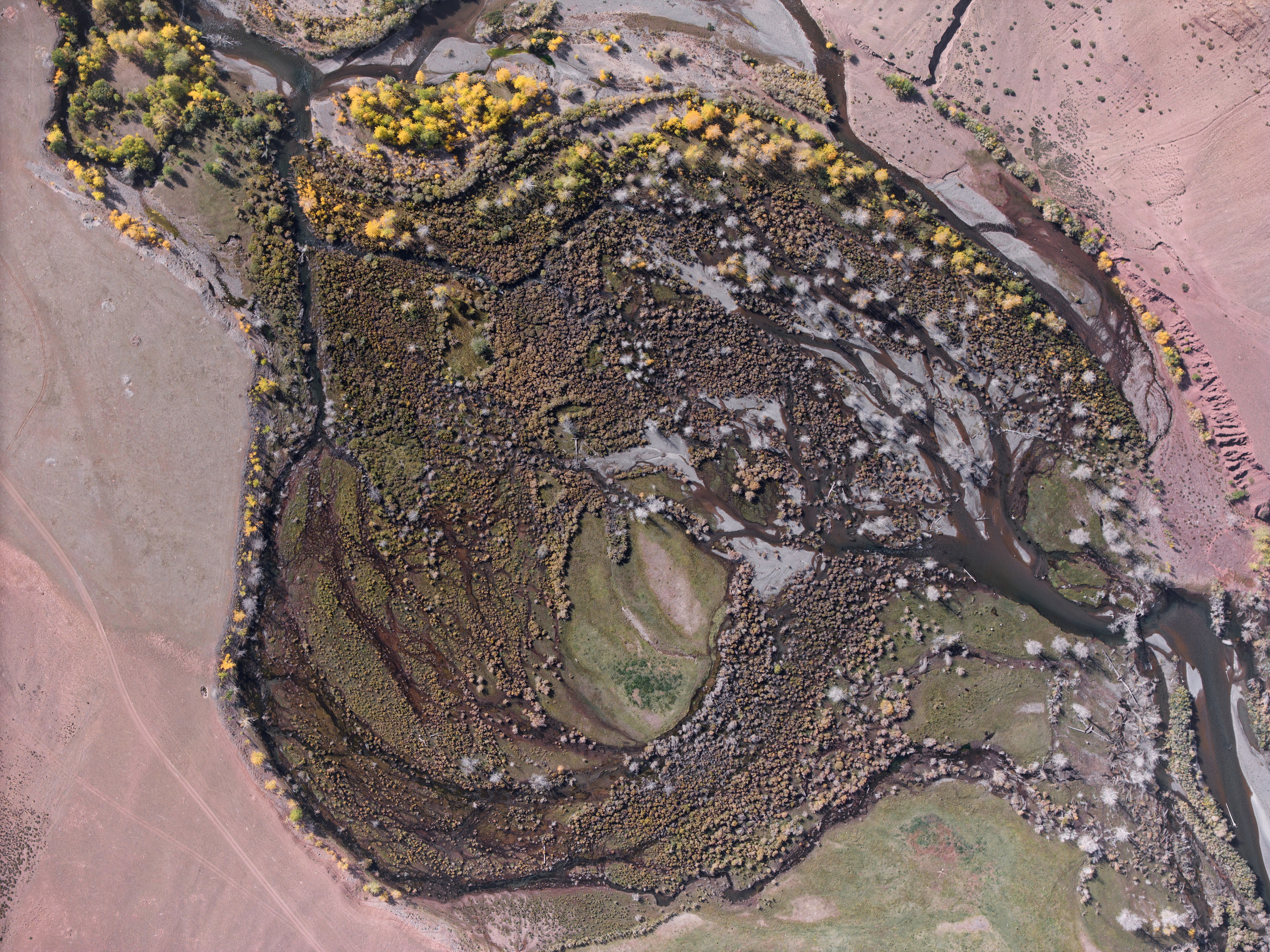 Вид с воздуха на каньон реки Кызылшин осенью