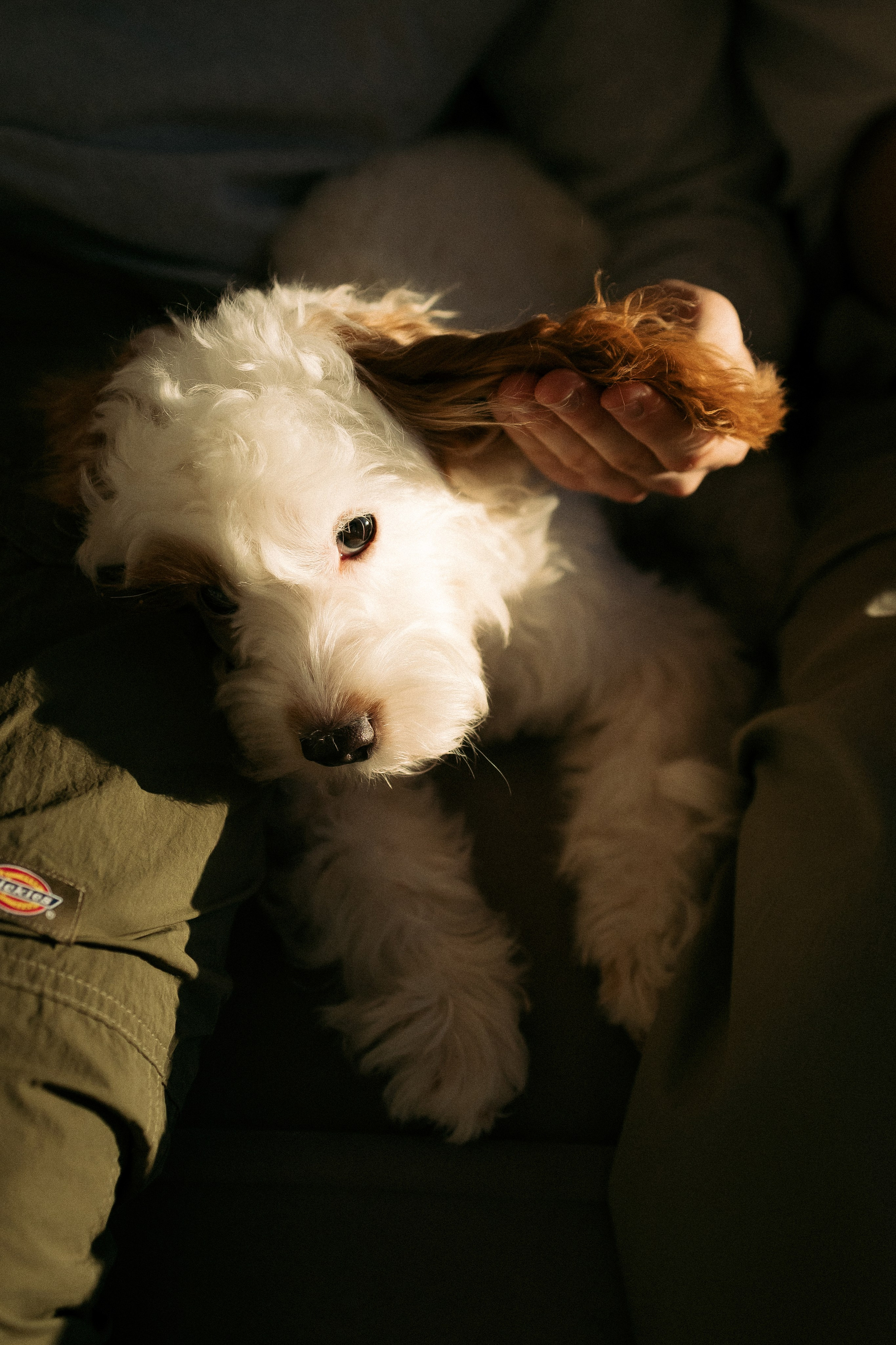 Сабина, Ярослав и Юта