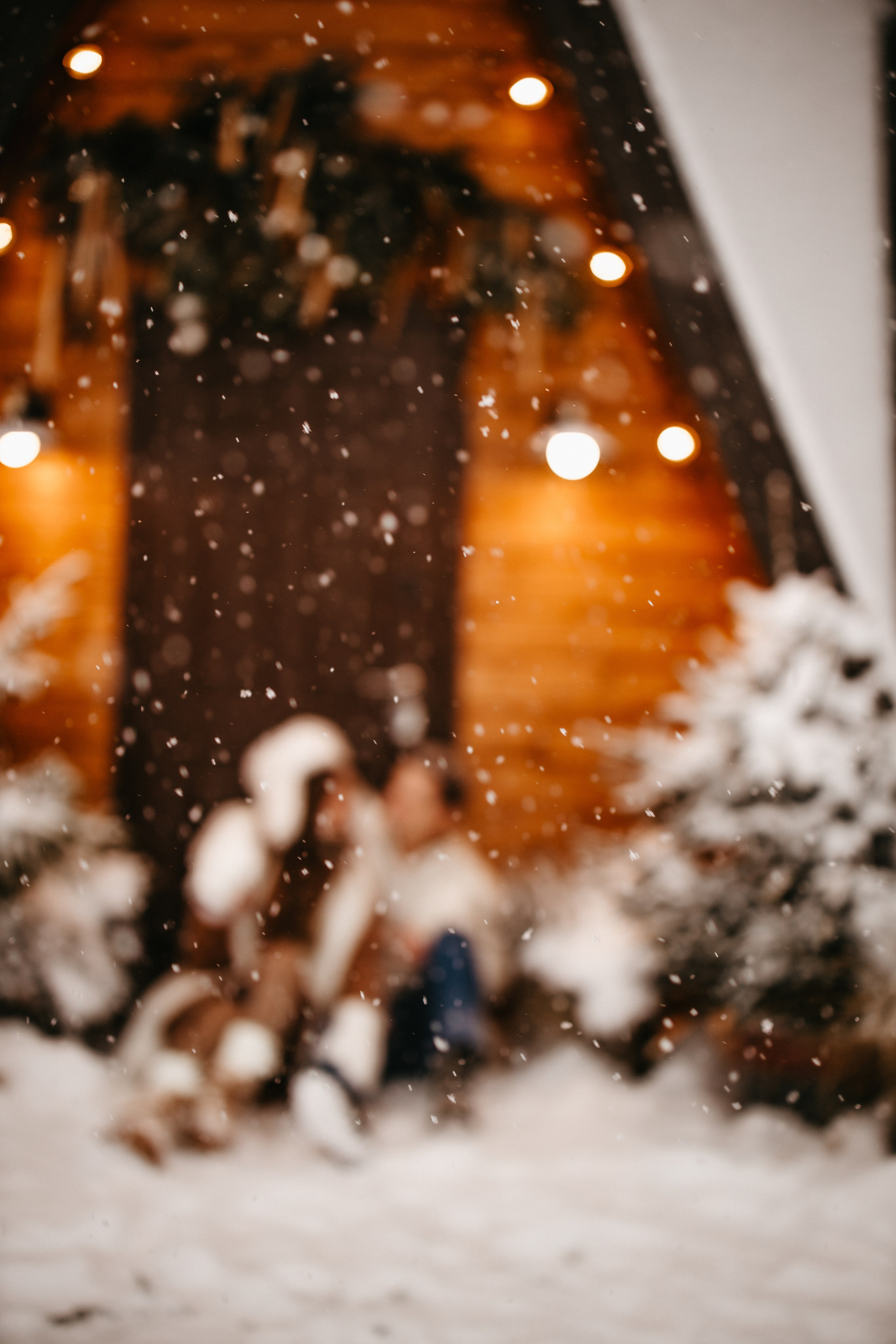 Новогодняя сказка. Евгения Пелипас