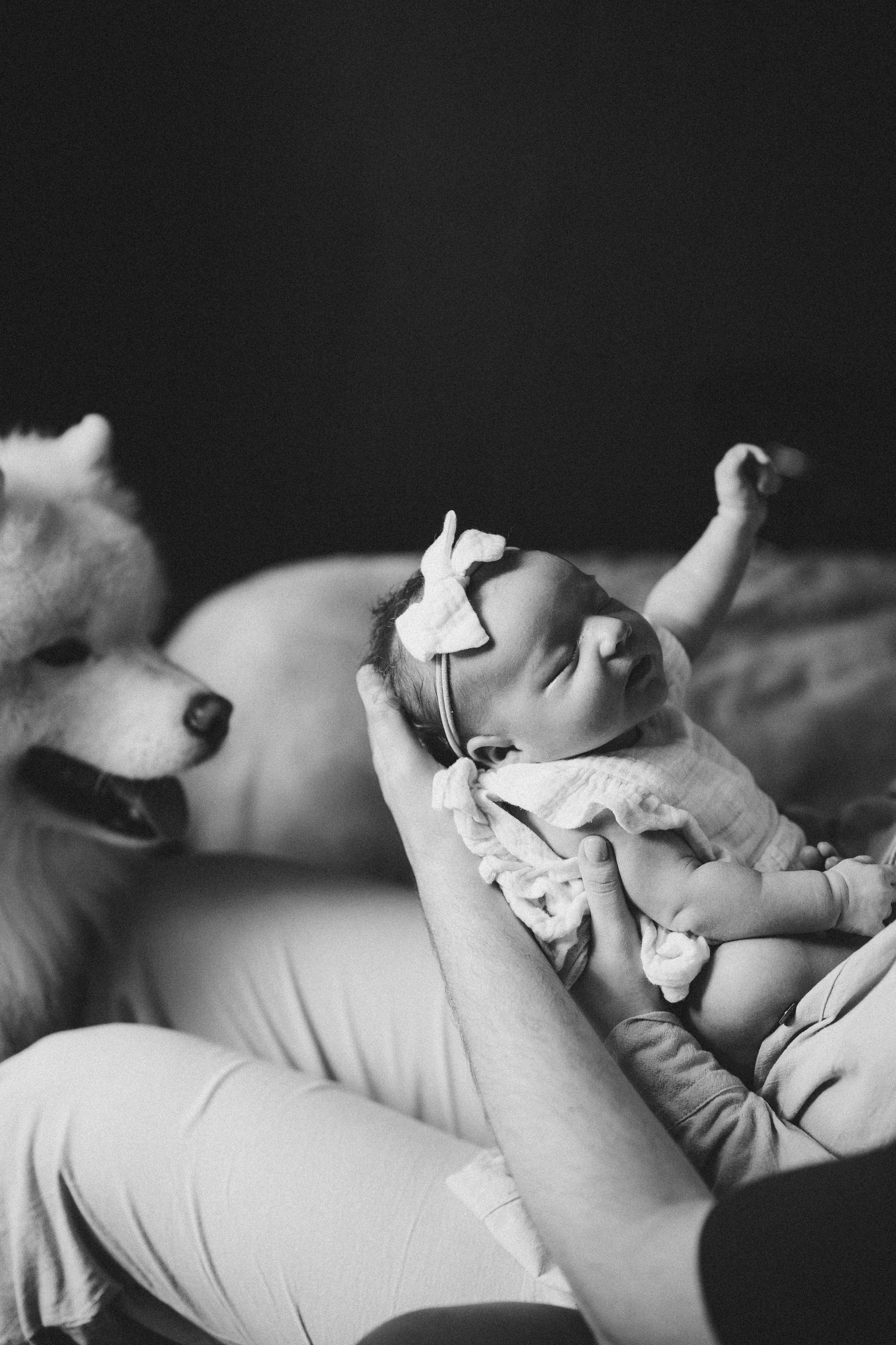 Василиса. Евгения Пелипас