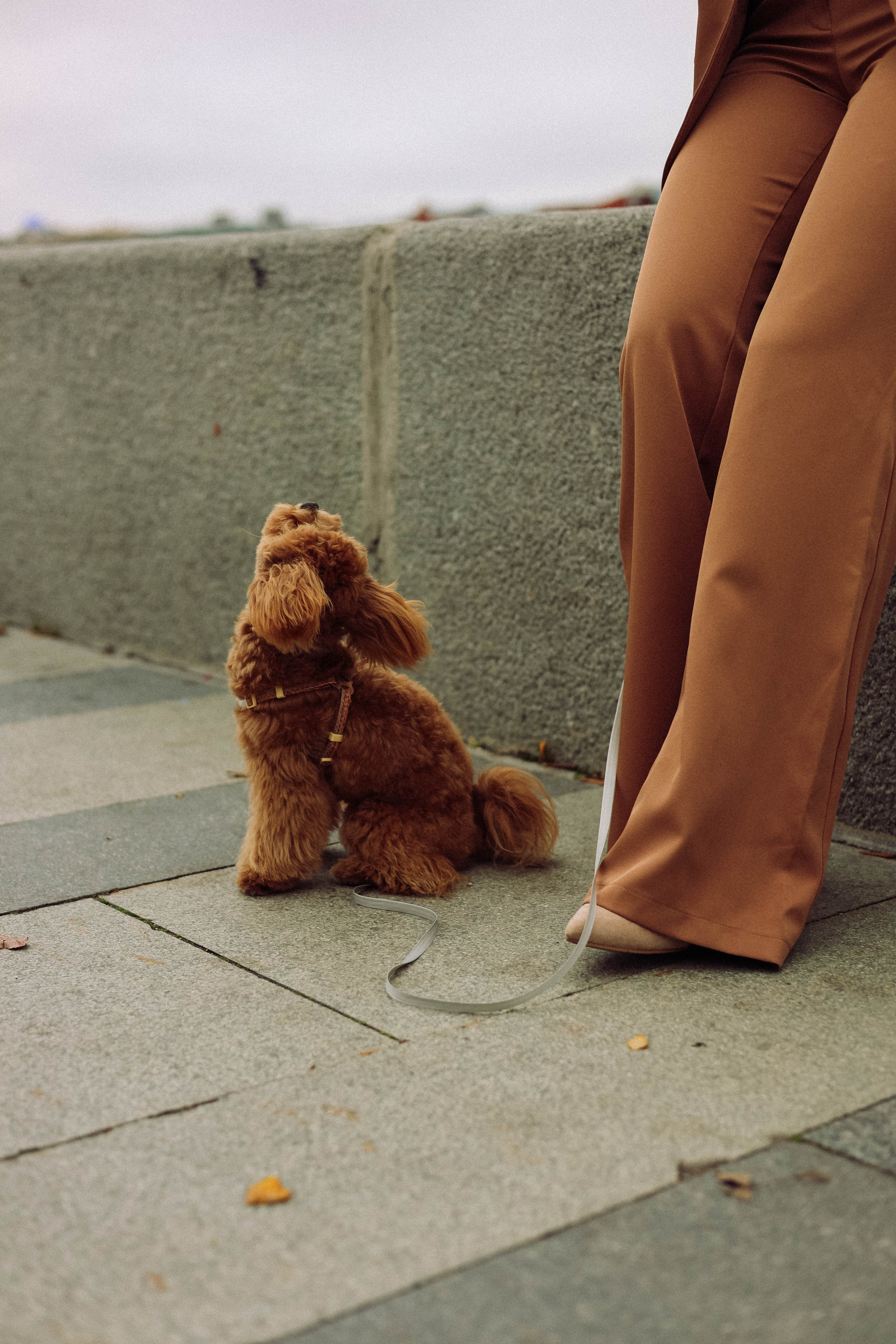 Кира. Фотограф в Москве Анастасия Калинина