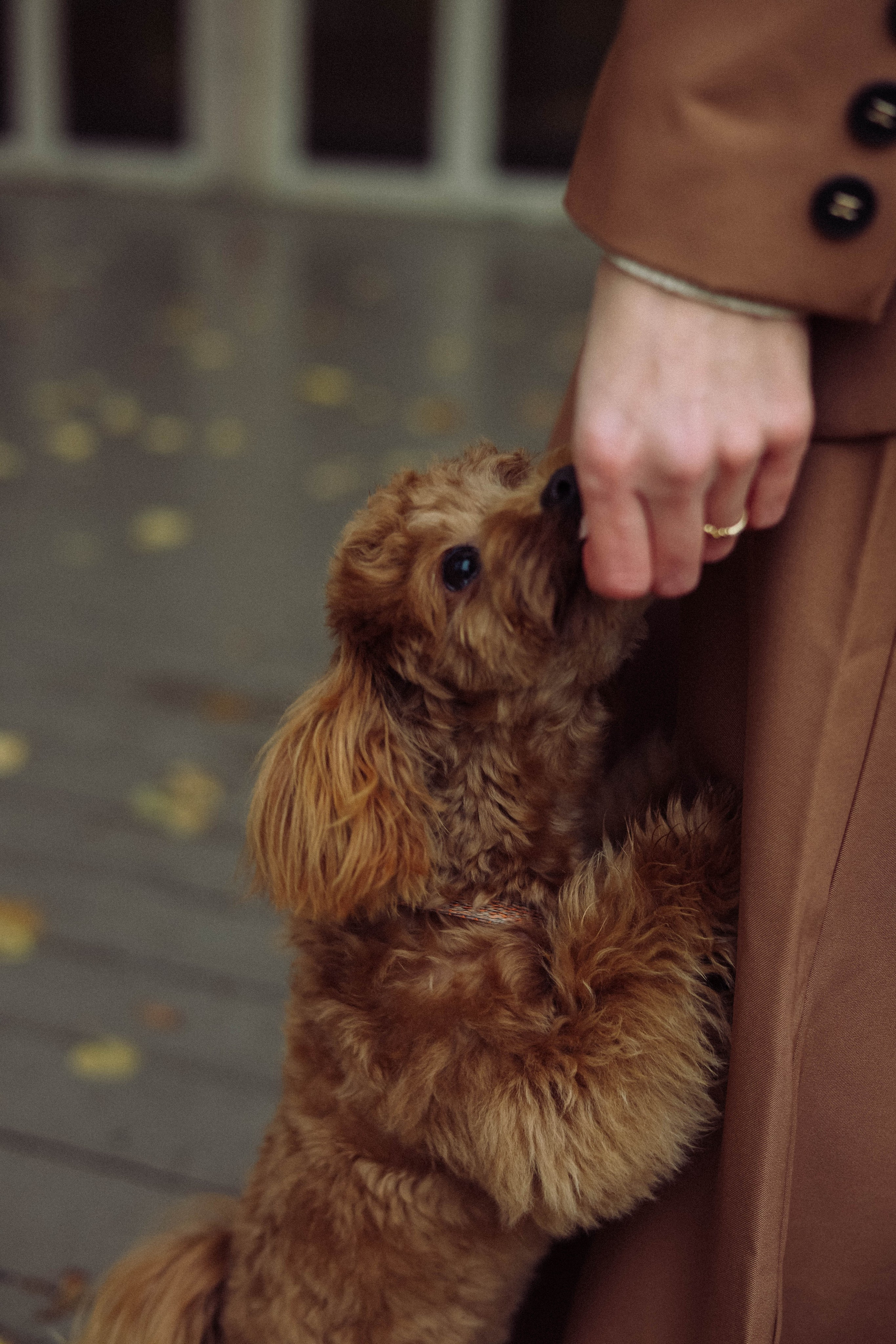 Кира. Фотограф в Москве Анастасия Калинина