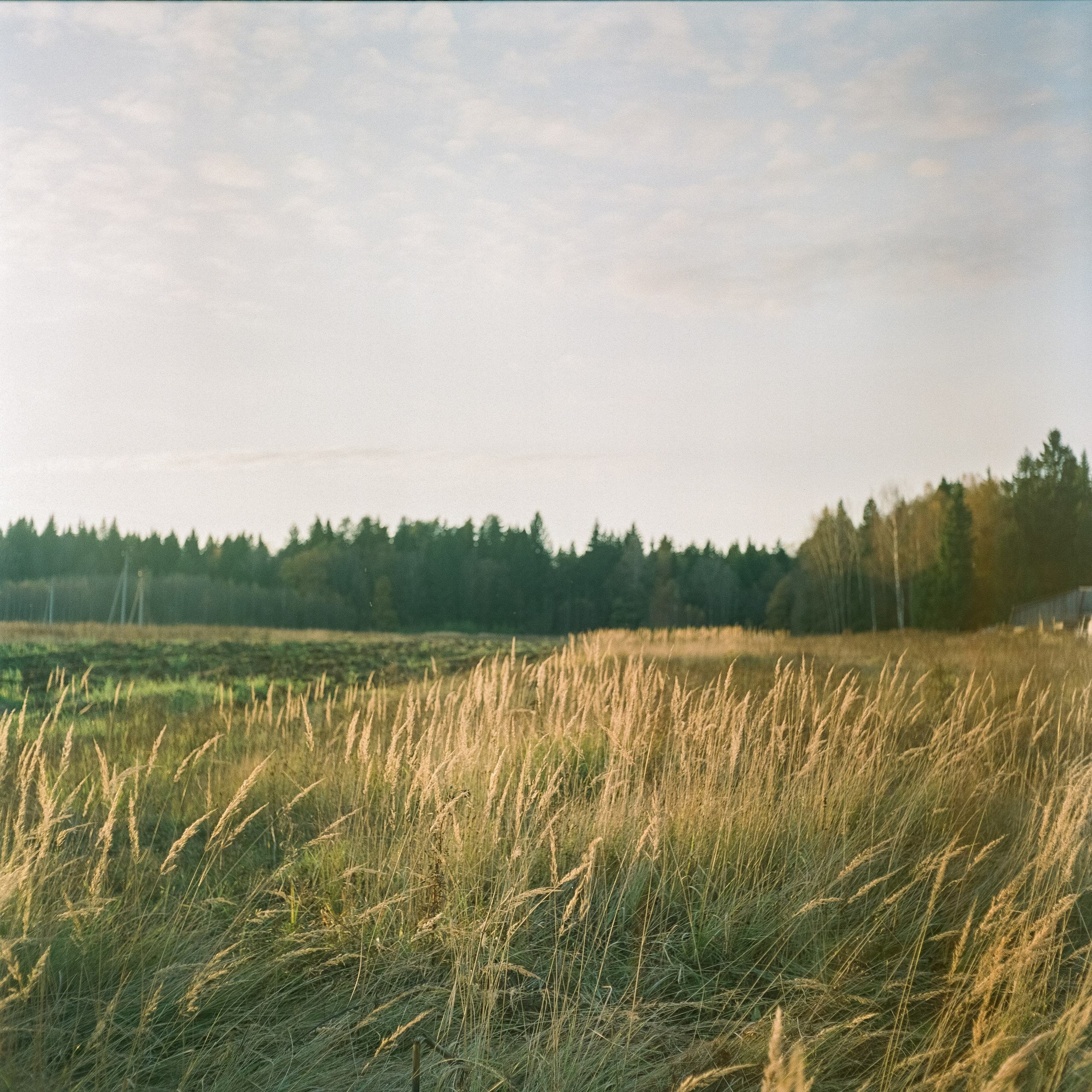 Rolleicord III–Xenar 75 mm f3.5 V / Fujicolor PRO 400H