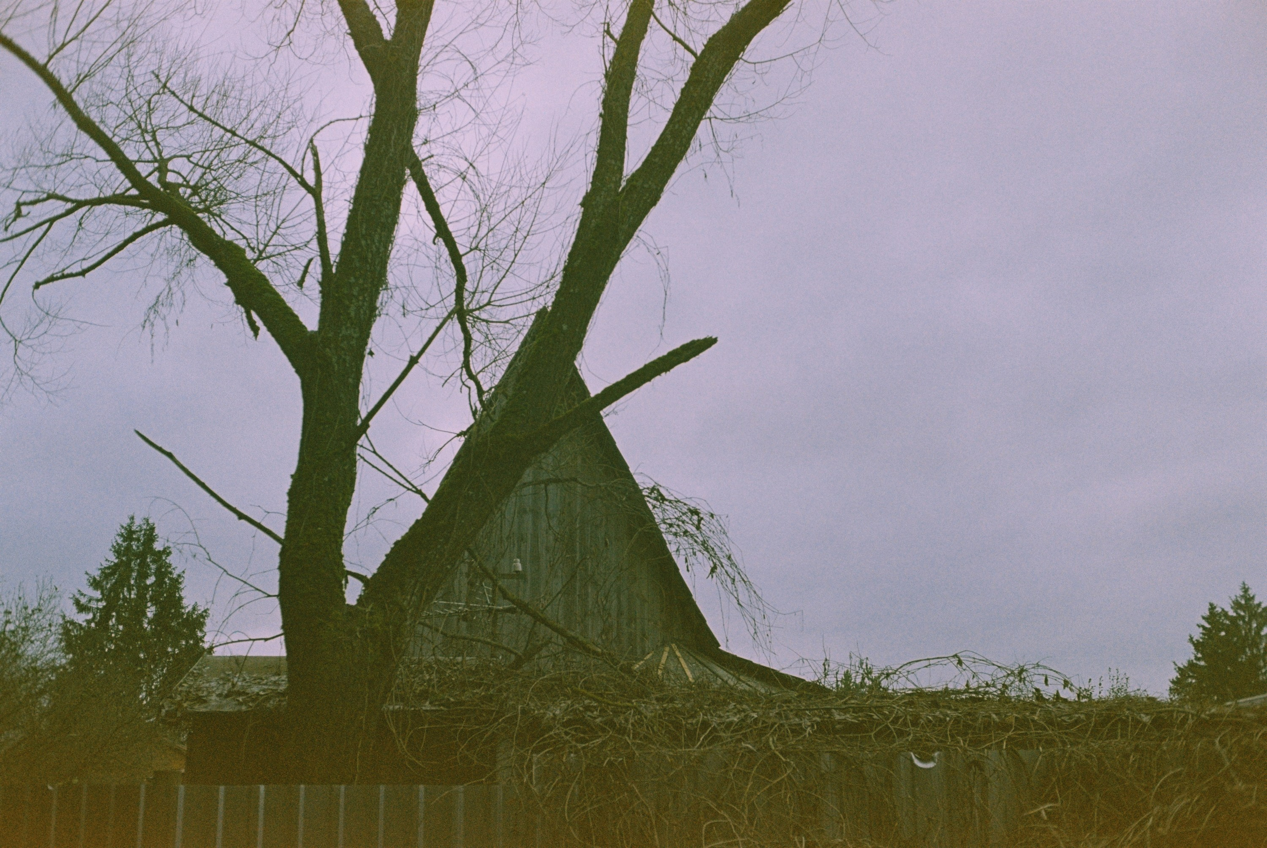 Minolta Hi-Matic 7sII / Kodak Color Plus 200 (просрочка)