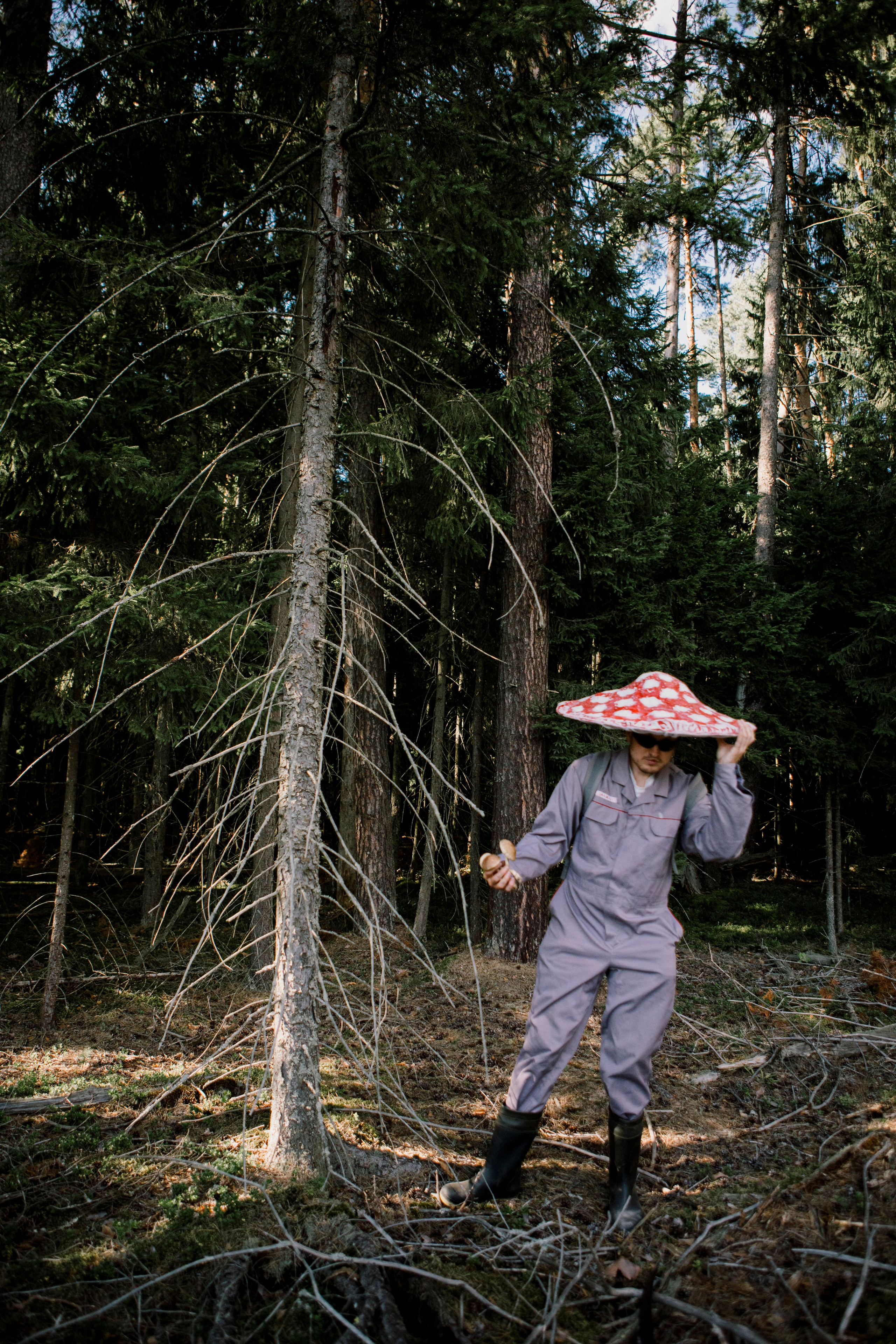 Грибы. Ольга Пилант. АРТ, бэкстейдж, свадебная и семейная фотография, городской портрет, интерьерная фотография