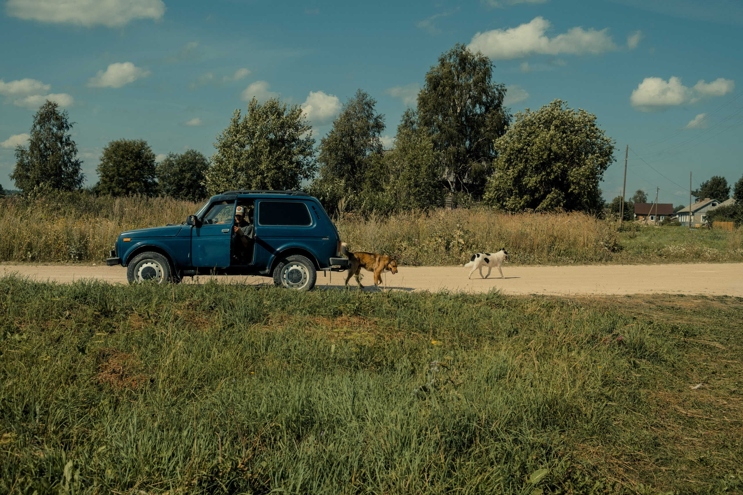 Фотографии Каргополя и красивые виды Русского Севера. Портретный, репортажный и пейзажный фотограф в Москве Сергей Арест