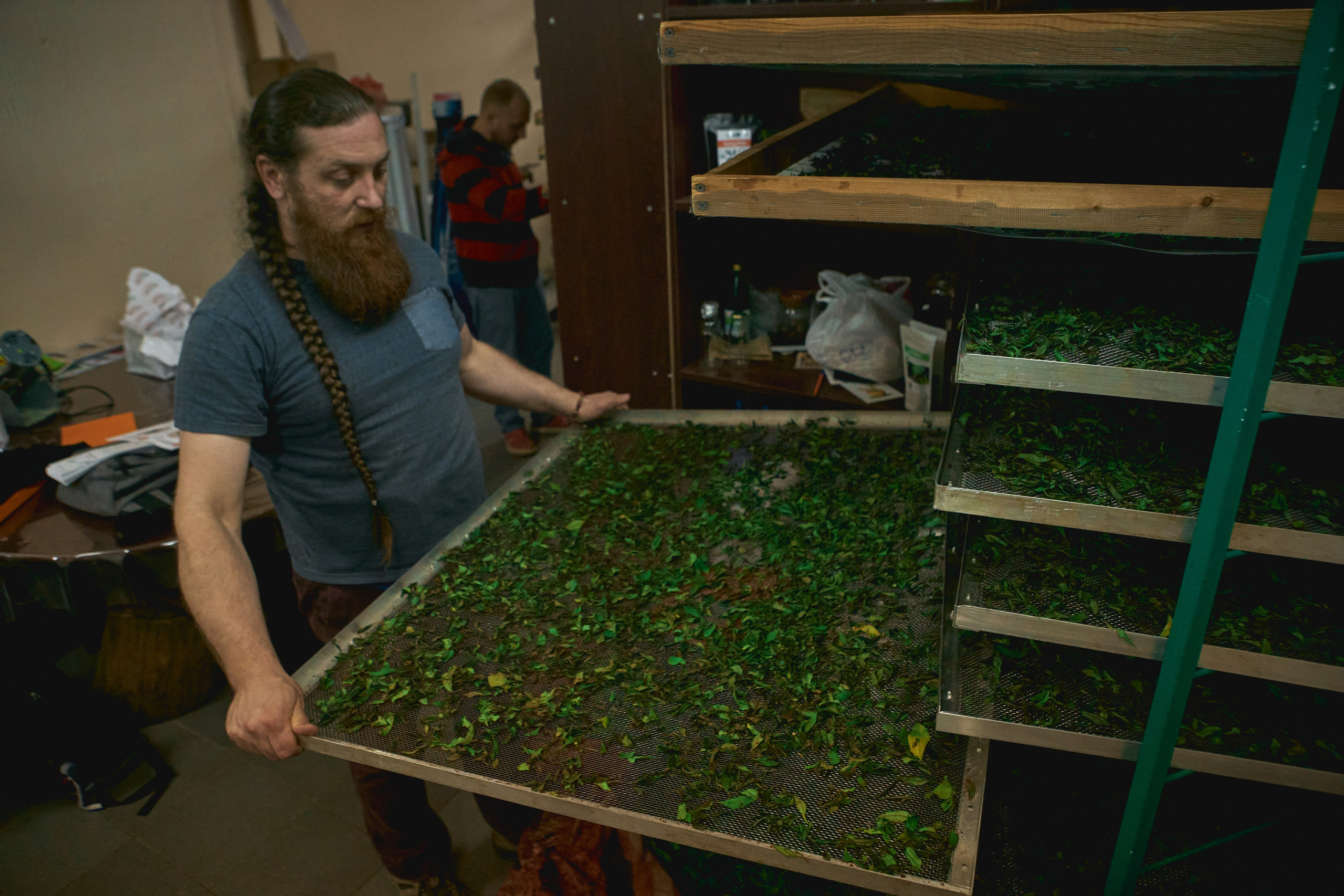 Краснодарский чай. Фотограф и оператор мероприятий, концертов и портретов в городе Москва