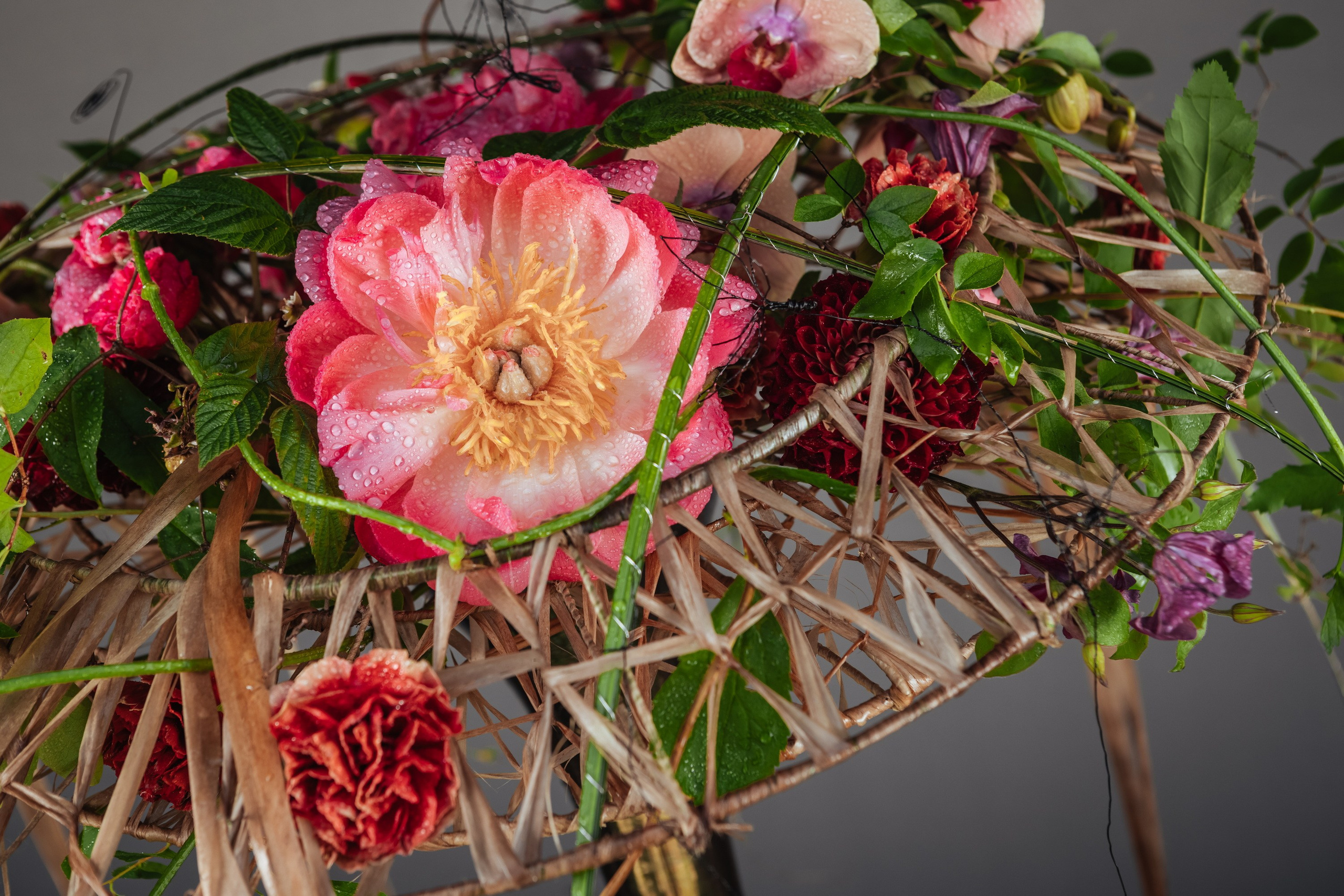 Флористика