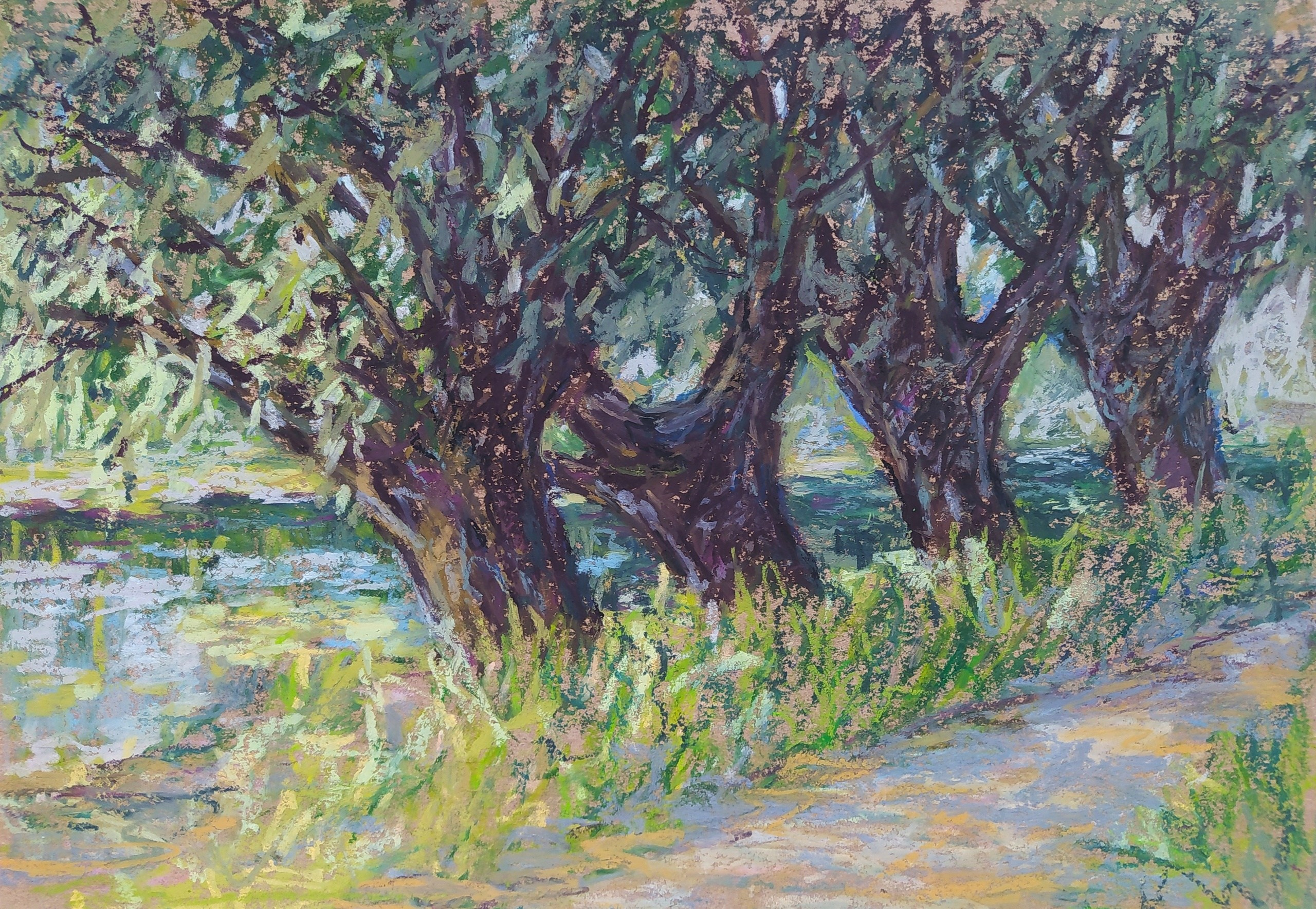 Пейзаж масляной пастелью, рисунок - Старые ивы у берега