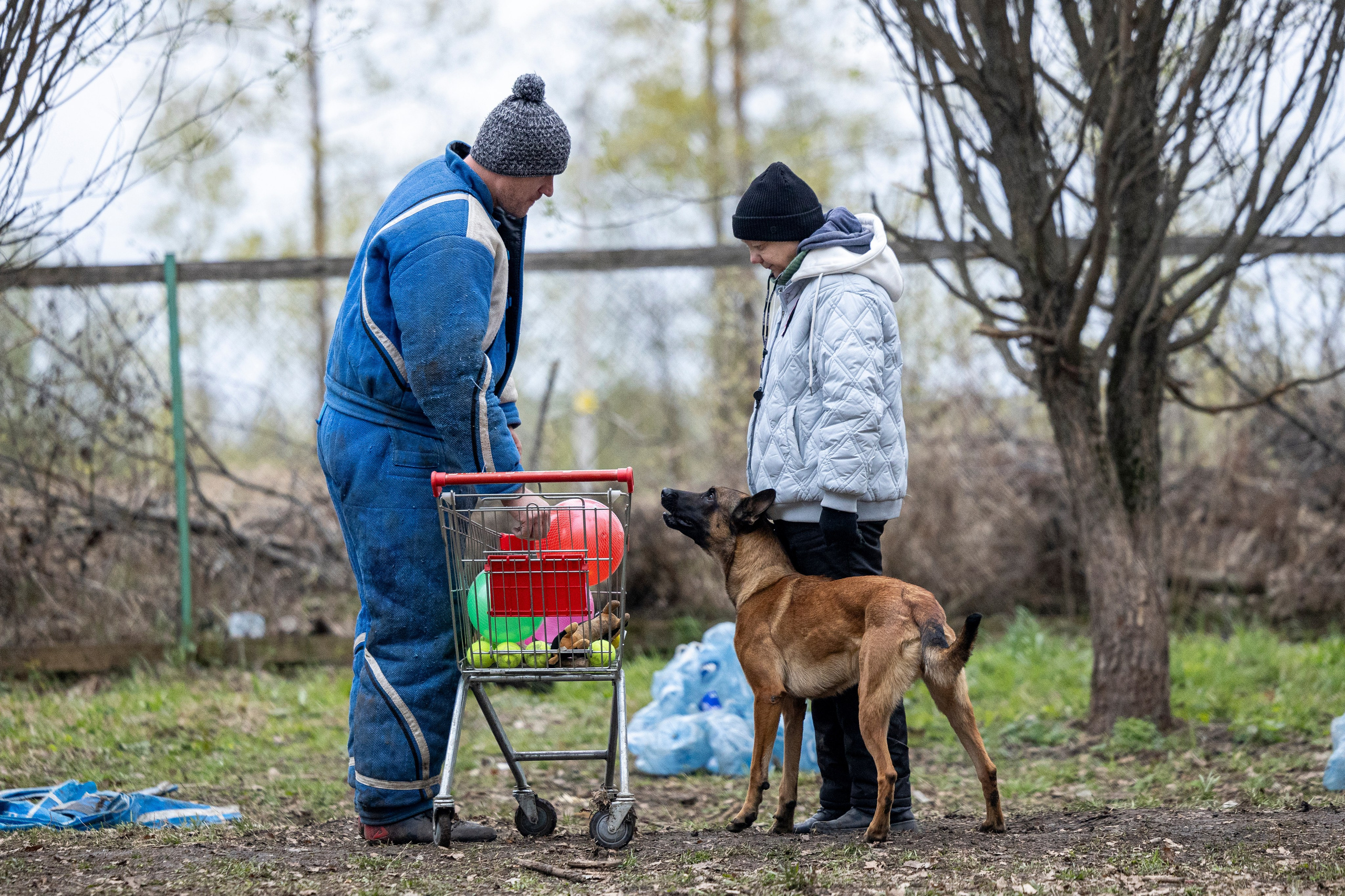 Квалификационные состязания по мондьорингу г. Вологда 11.05.24. Фотограф-анималист Анна Маринич