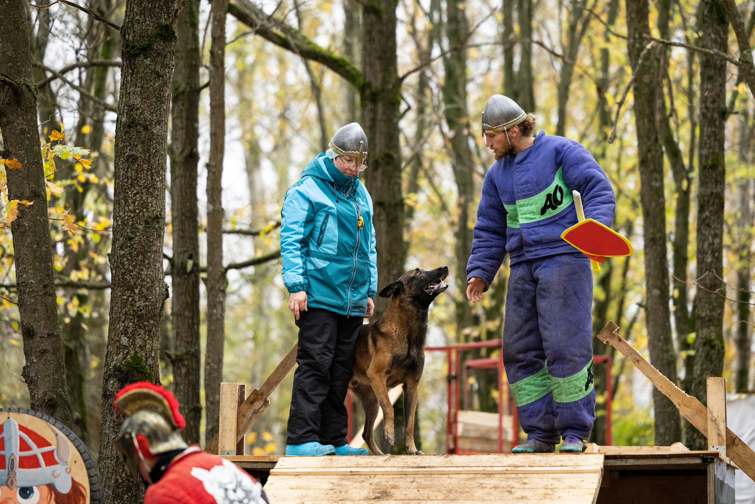 Соревнования по Мондьорингу г. Вологда. Фотограф-анималист Анна Маринич