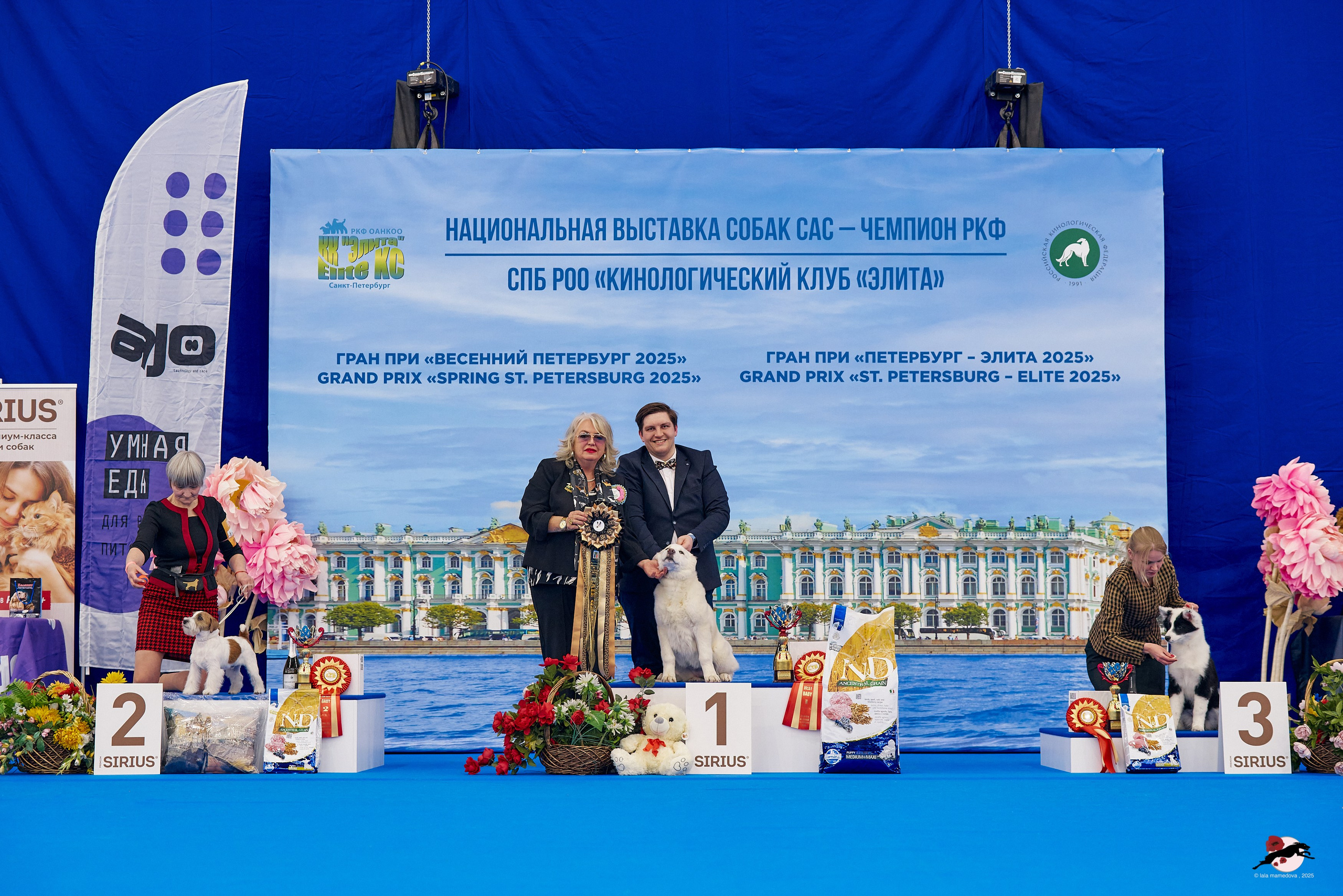 27.04.2025 | "Петербург-Элита 2025" & «КУБОК «ЭЛИТЫ»-2025»