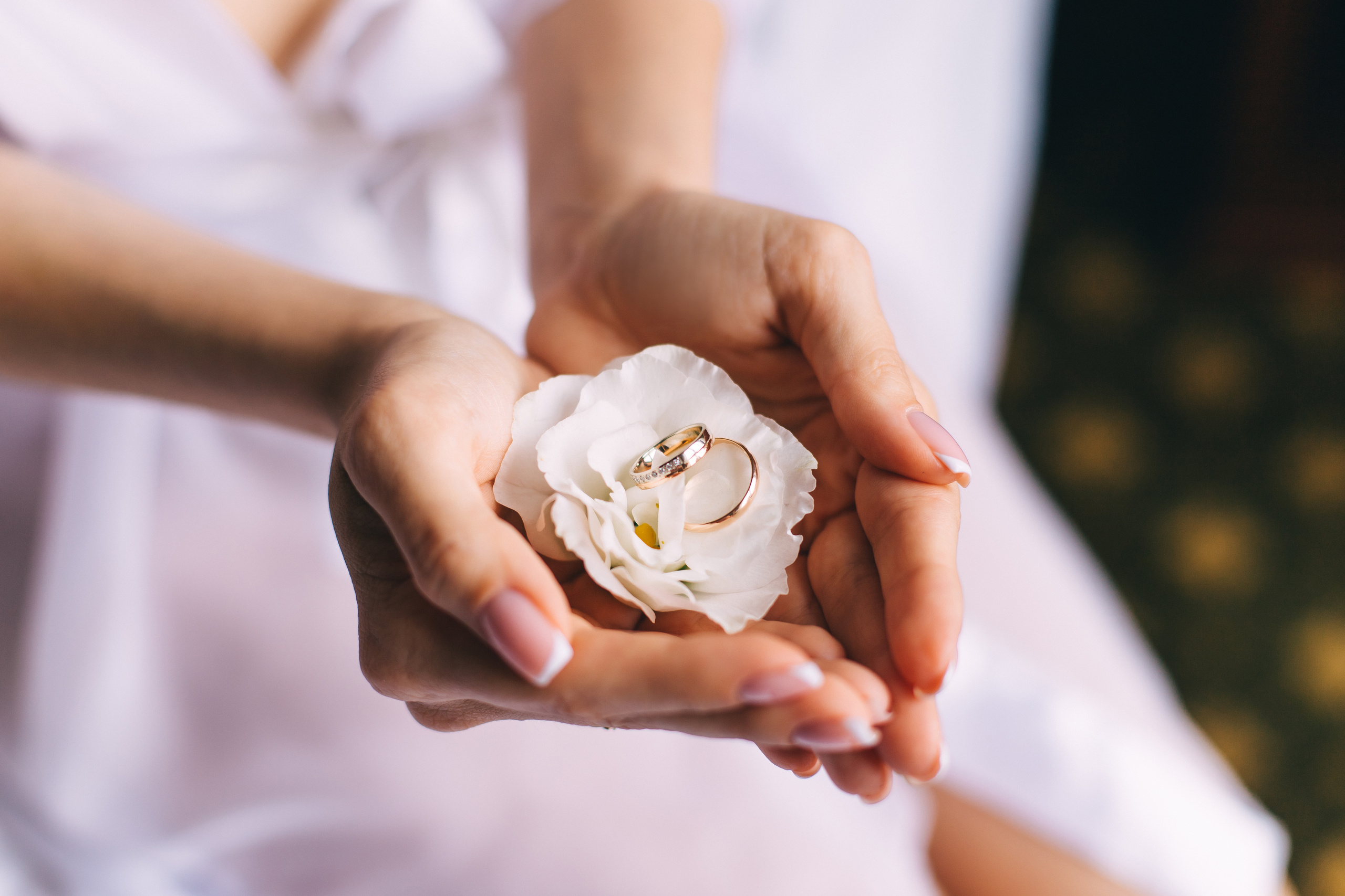 Портфолио. Свадебный фотограф и видеограф Когай Дмитрий и Юлия