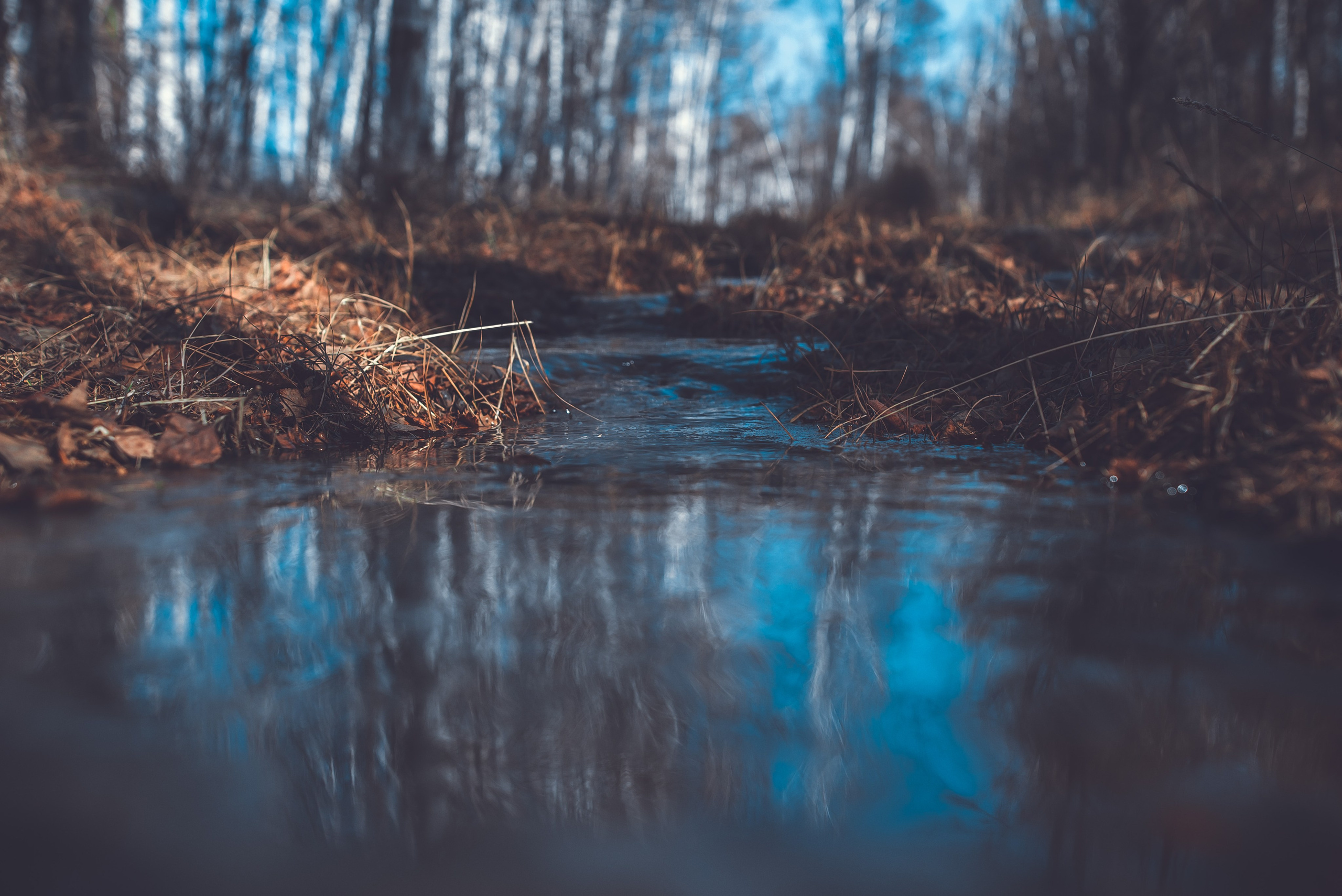 Профессиональный фотограф Церковных Таинств в Чите Ткачук Юлия