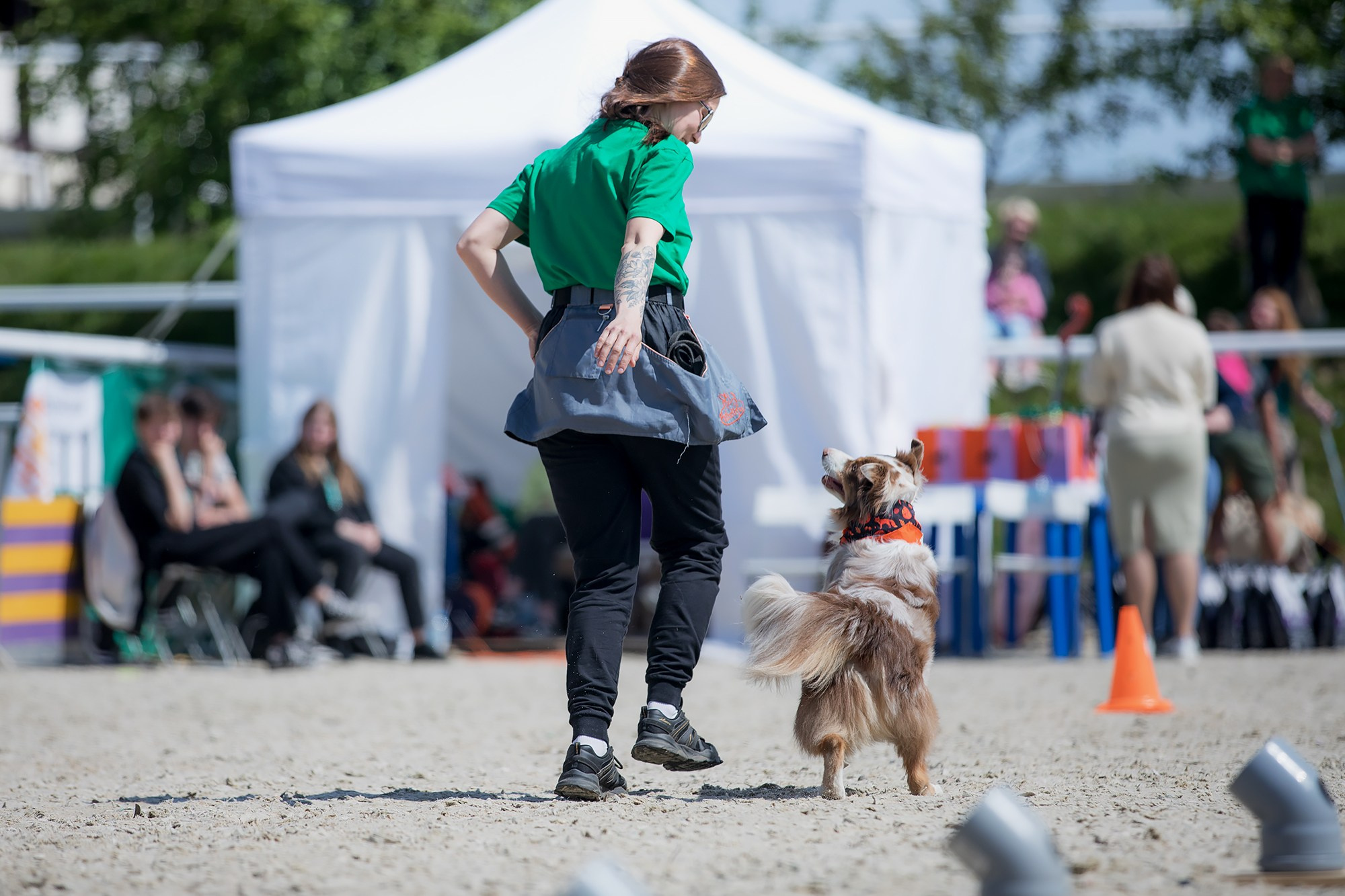 Показательные выступления по NoseWork на выставке «Россия». Фотограф-анималист Mary Mart — Москва, Питер