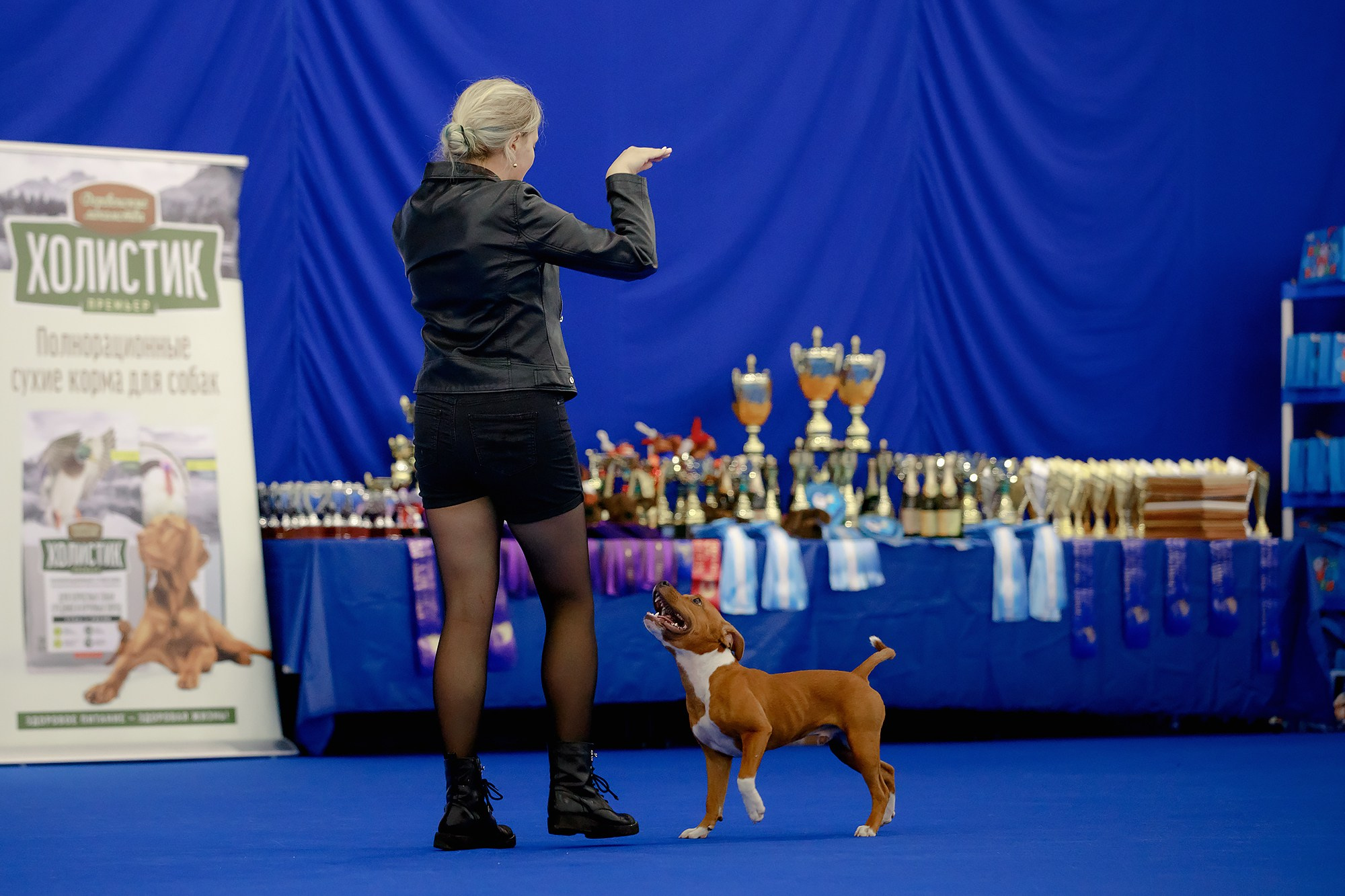Танцы на выставке «Зоошоу», СПб. Фотограф-анималист Mary Mart — Москва, Питер