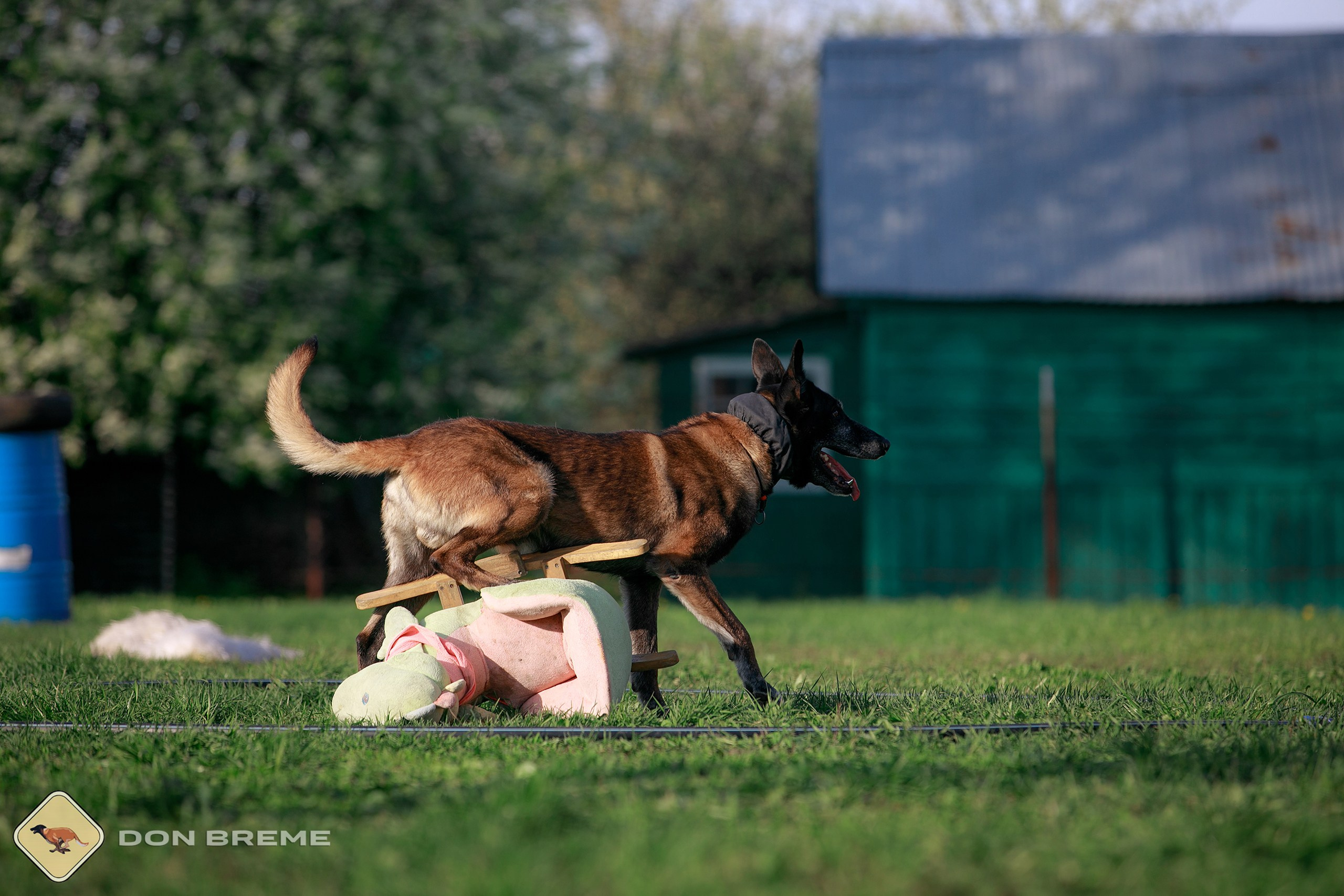 Семинар для фигурантов, день 4. Фотограф-анималист Mary Mart — Москва, Питер