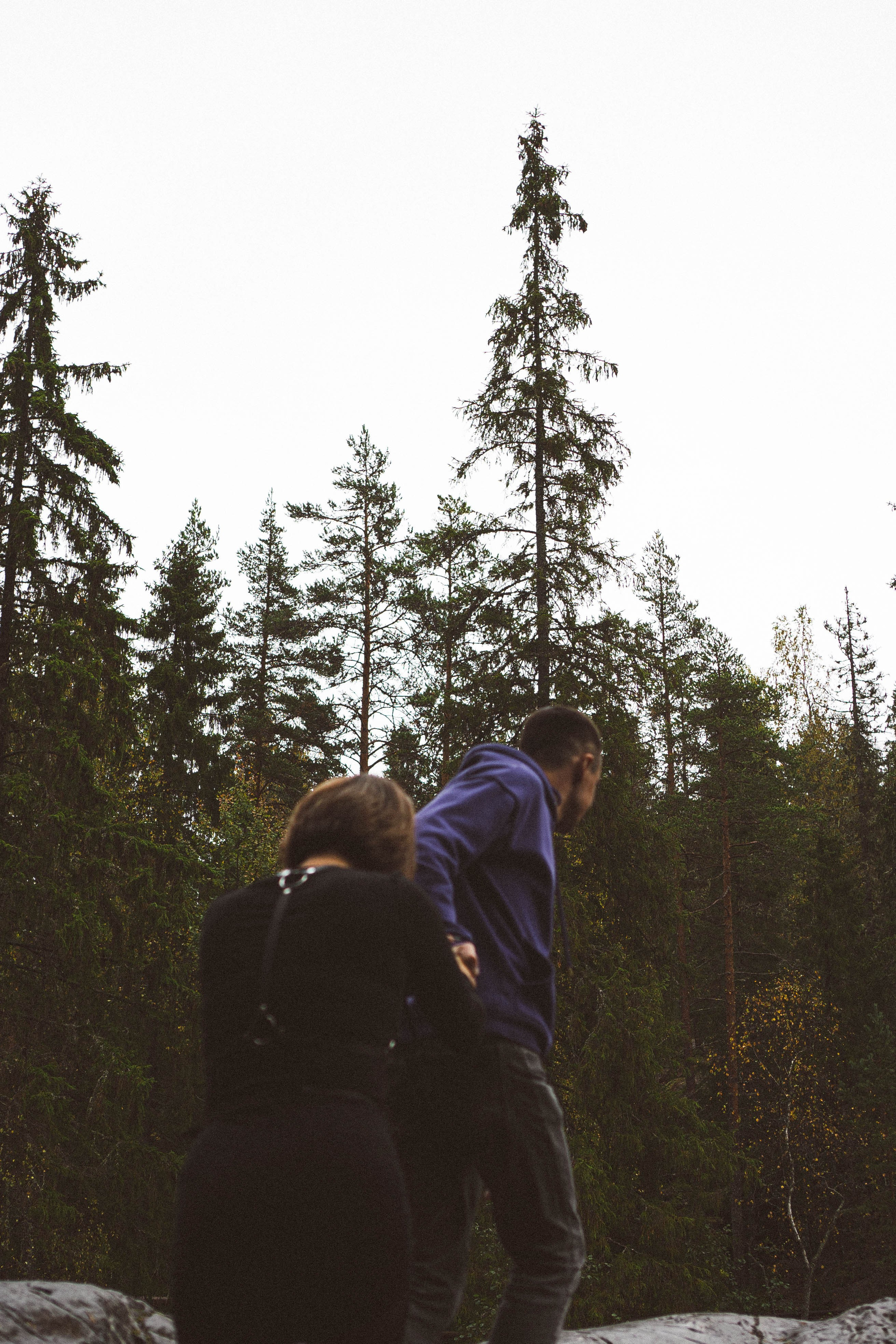 Прогулка на природе. Профессиональный фотограф, Санкт-Петербург — Виктория Богомолова