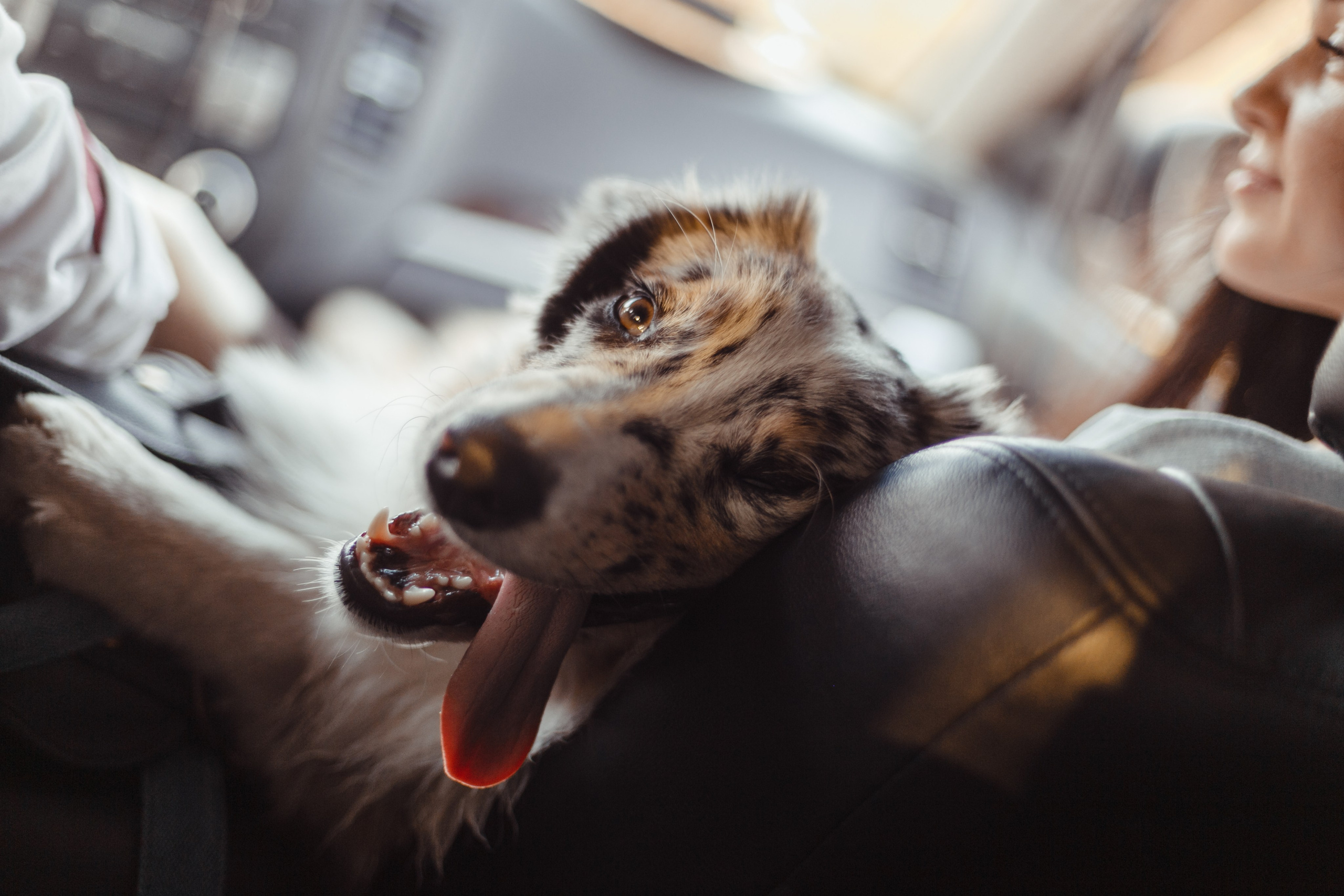 Mike. PHOTOGRAPHER romanoff-egor