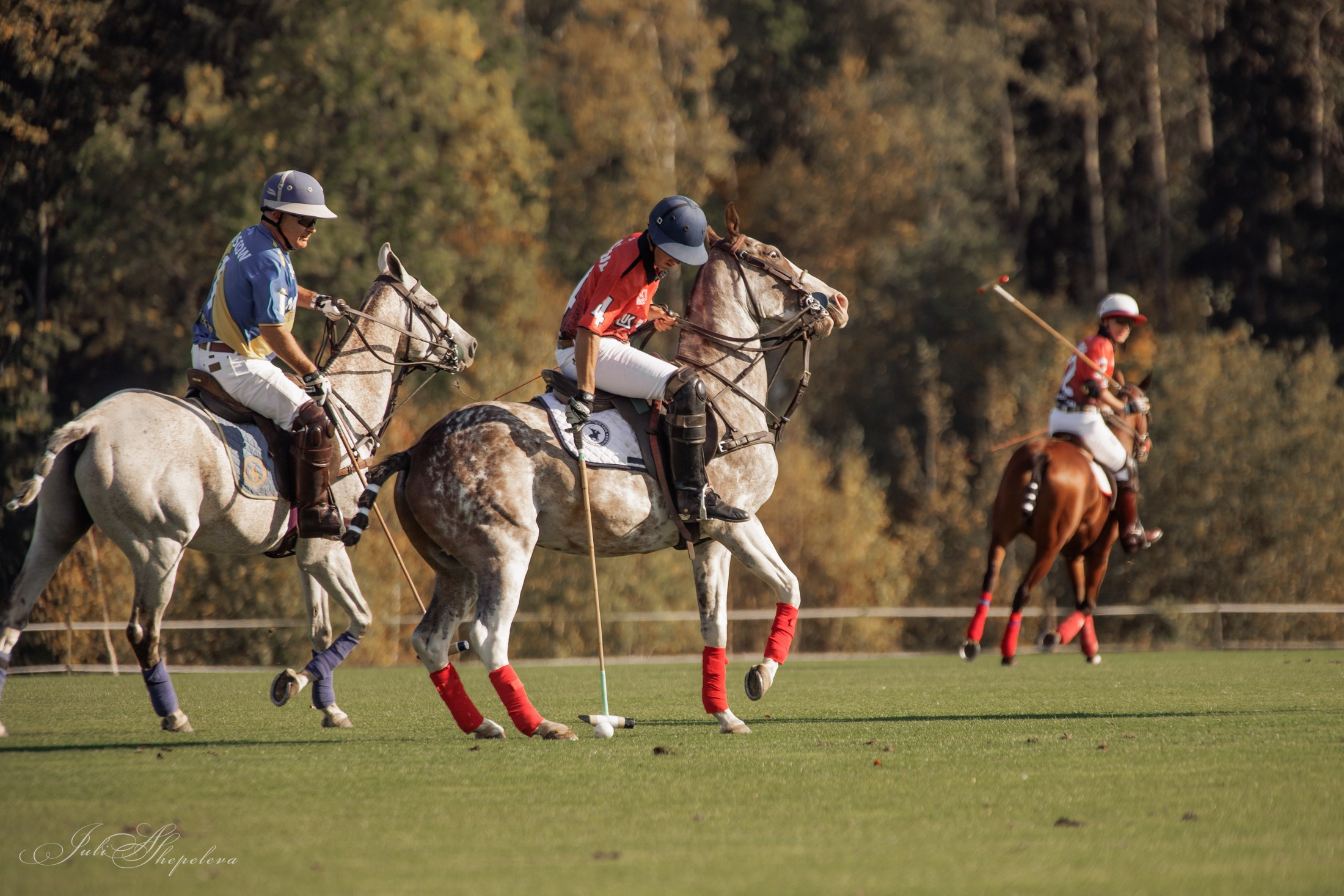 Осенний кубок по конному поло. Детская Конная фотография в Москве Юлия Шепелева