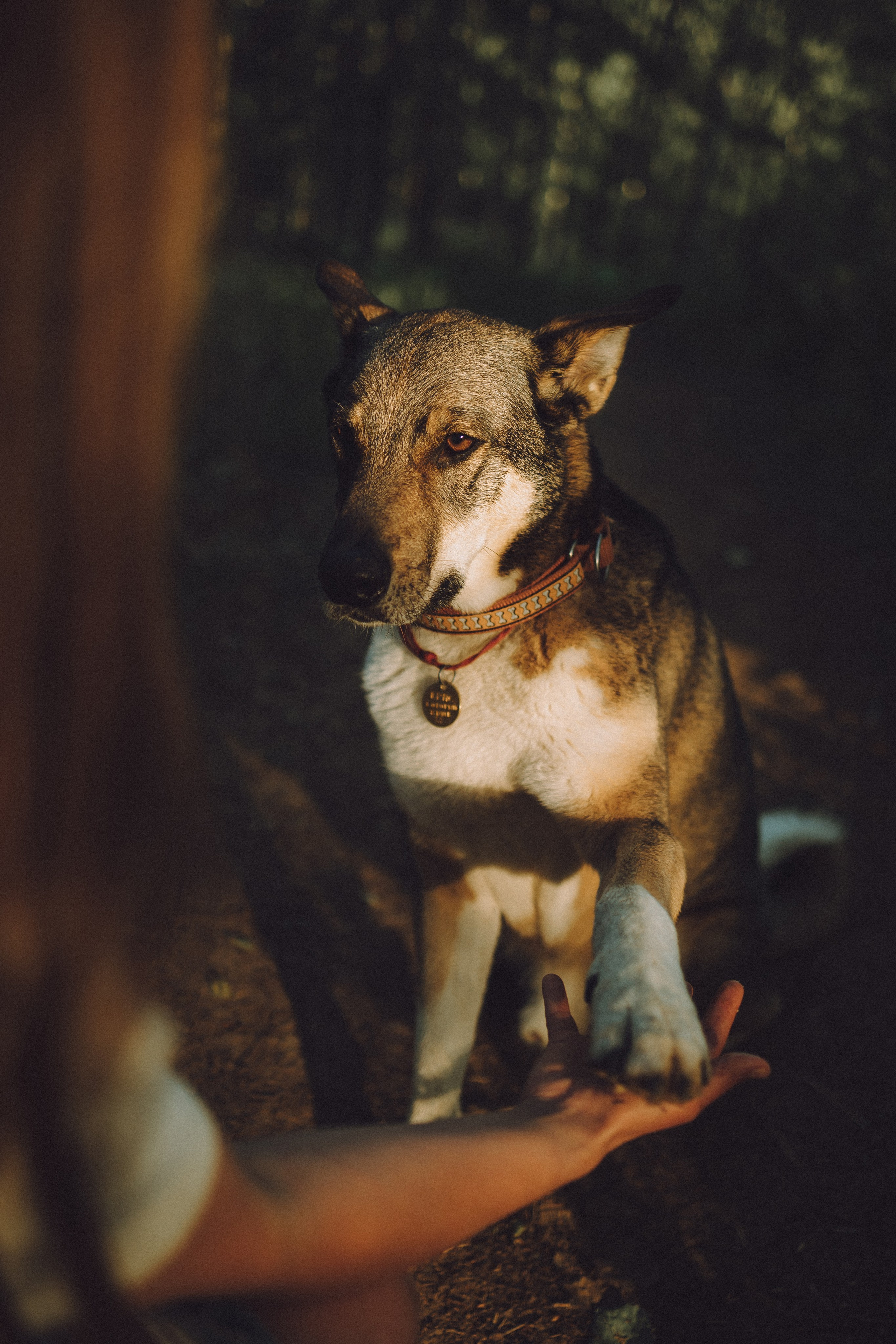 Катя и Крис