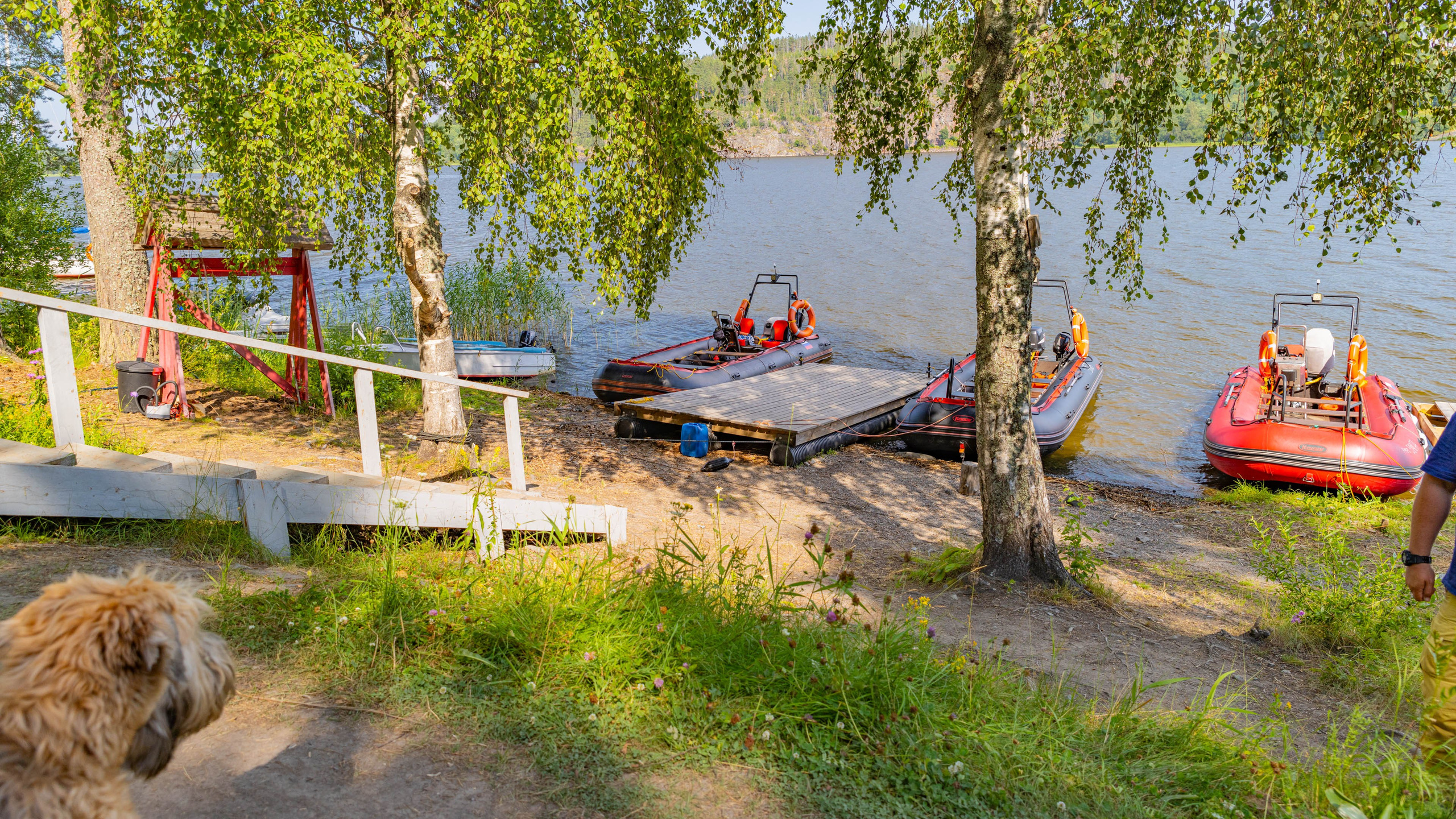 2025 07 Выборг — Сортавала — Великий Новгород — Псков. Фотографии