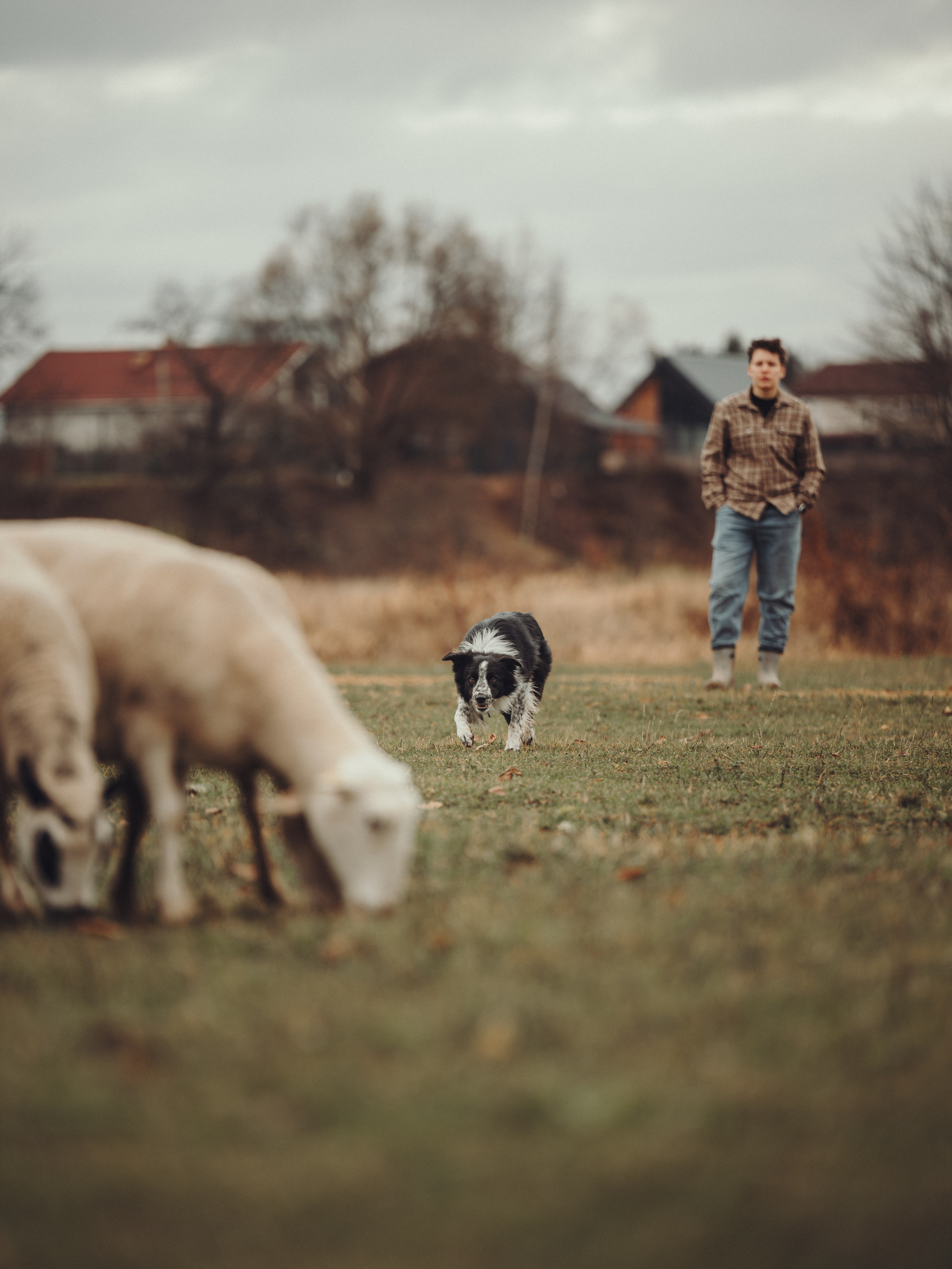 Настя и Рэги на ферме. Семейный фотограф анималист Ананьева Мария — Москва