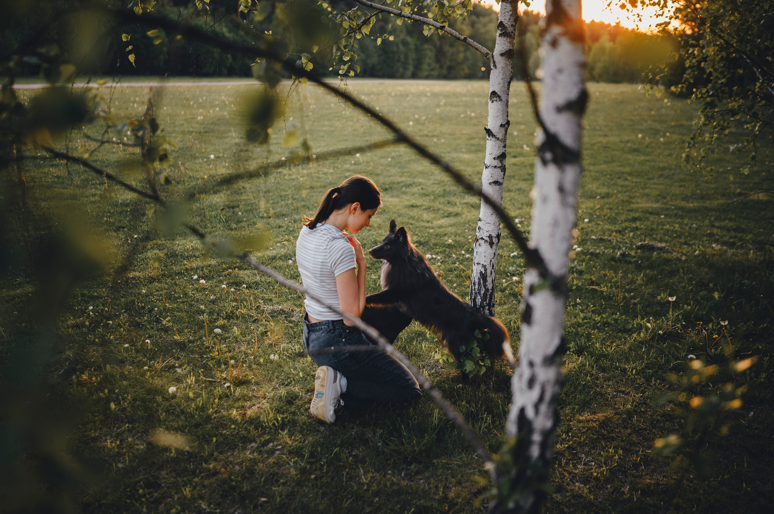 Юля, Никс и Чайф. Семейный фотограф анималист Ананьева Мария — Москва