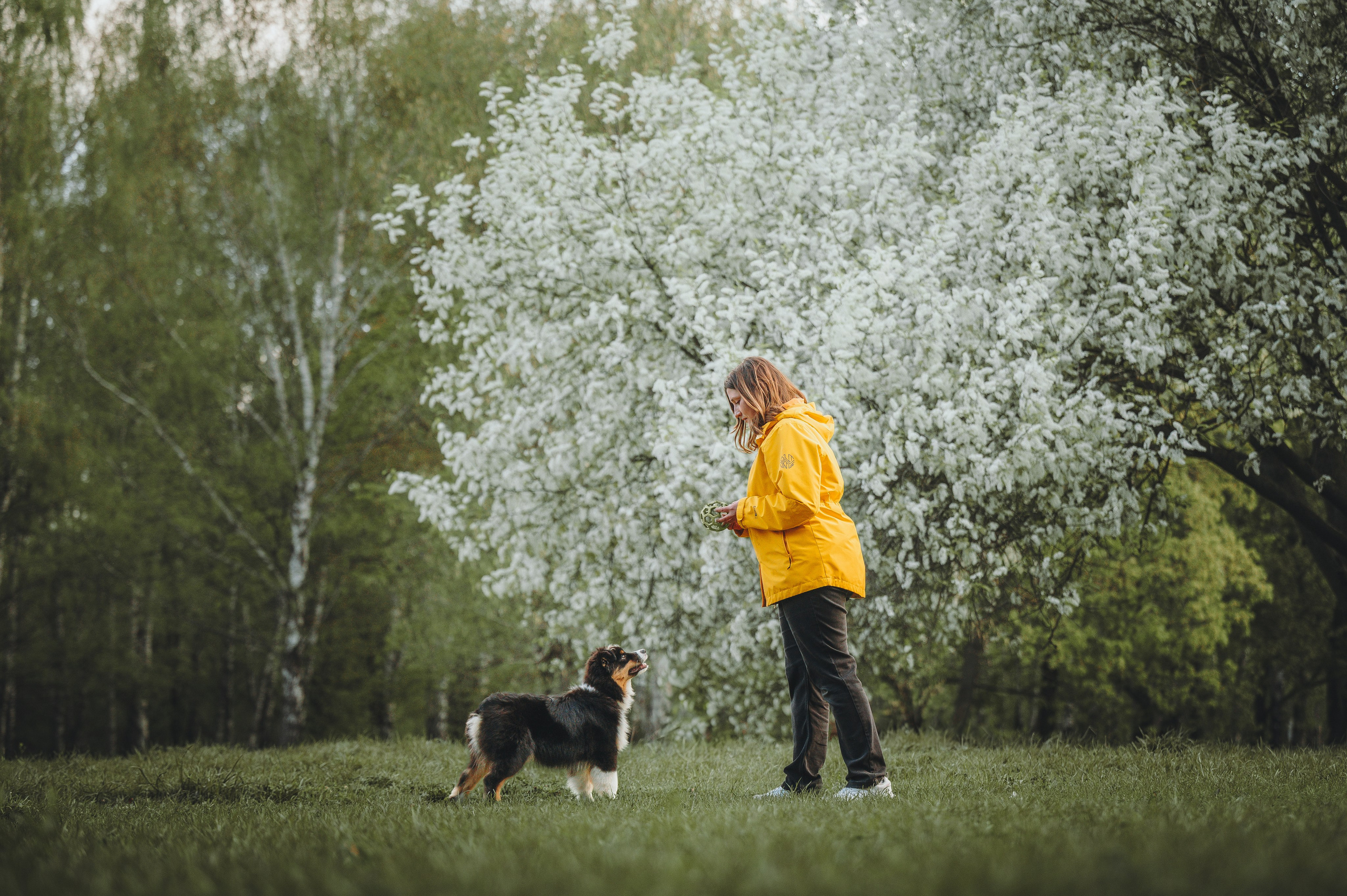 Софья и Сажик. Семейный фотограф анималист Ананьева Мария — Москва