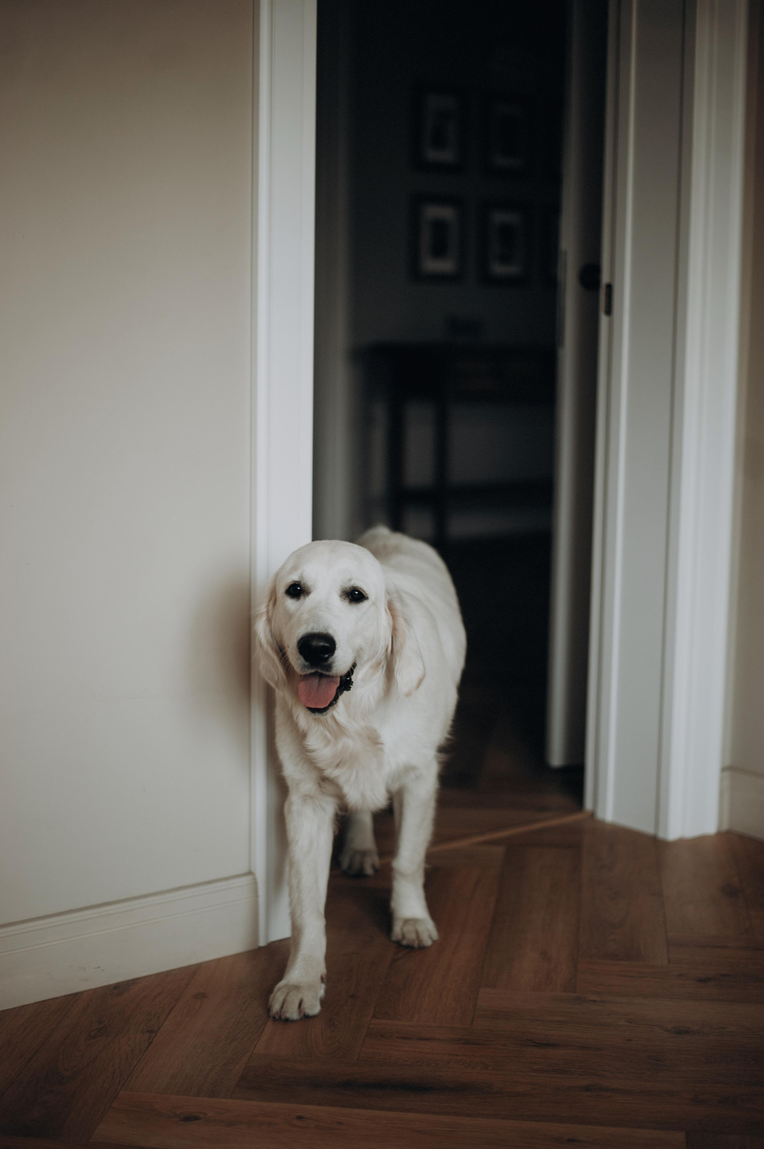 Саша Света Митя Савва. Фотограф в Саратове Анастасия Гладина