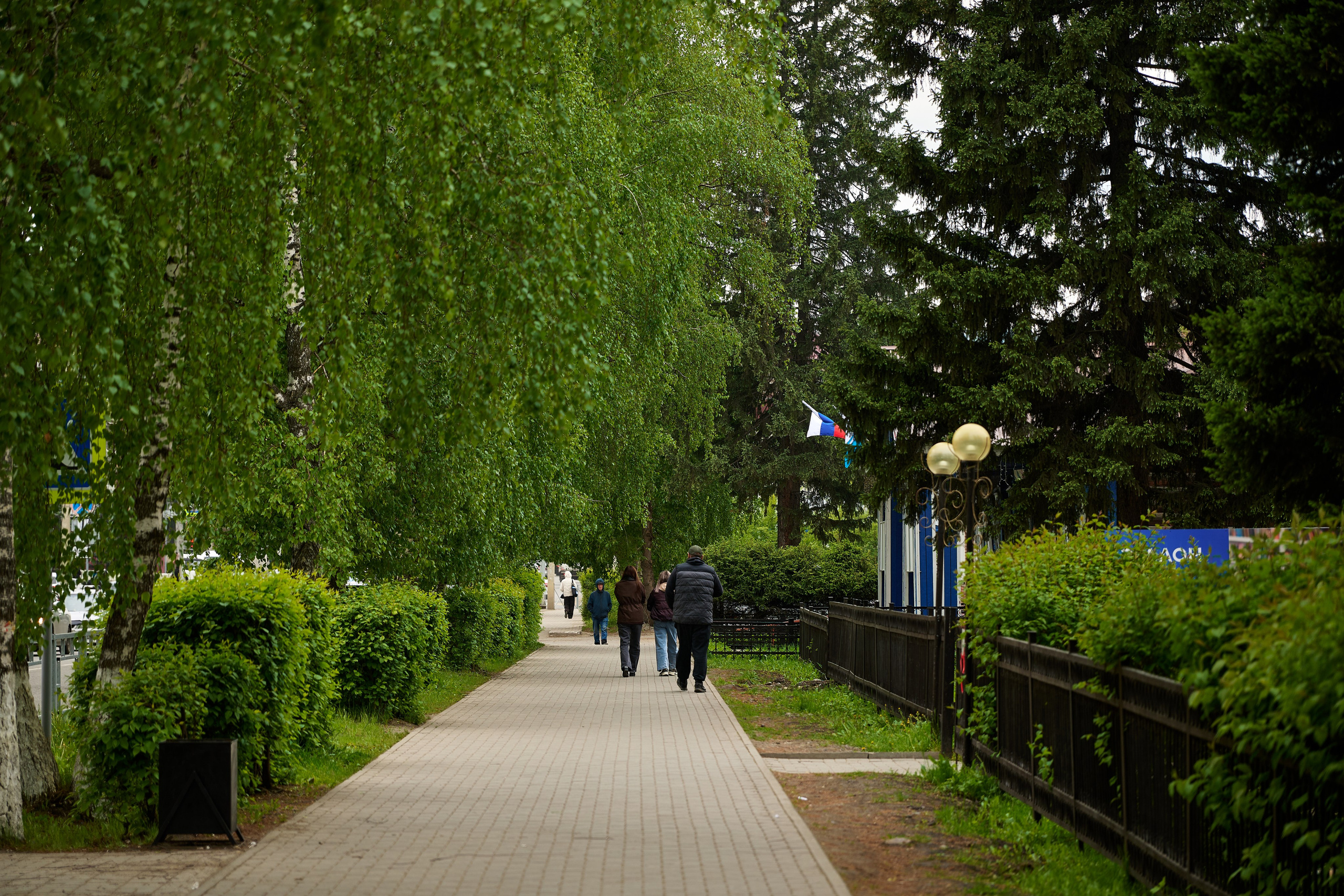 Горно-Алтайск весна. Фотограф Опыт Качество Скорость Горный Алтай Барнаул