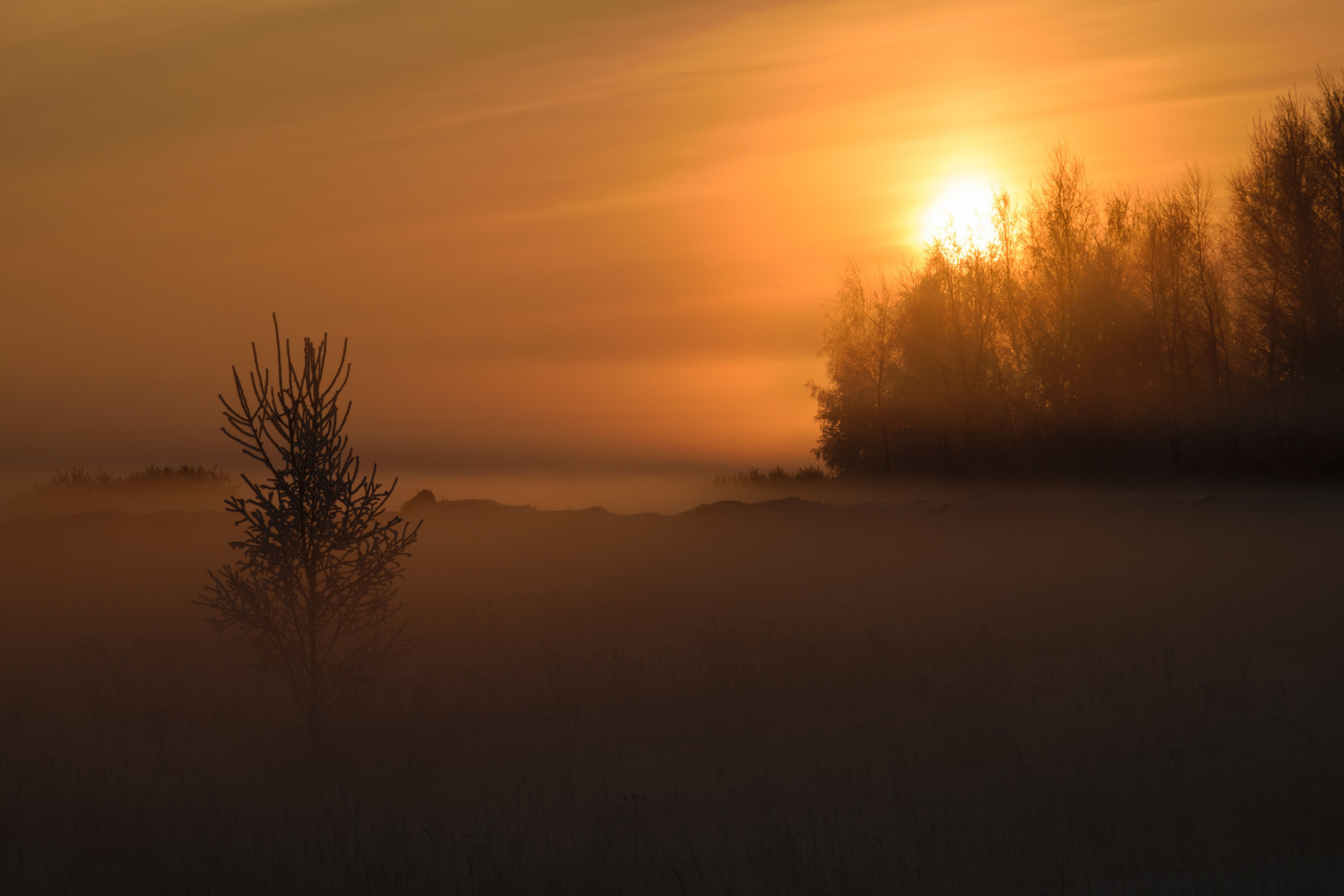 Фотограф в городе Омске Константин Зоткин