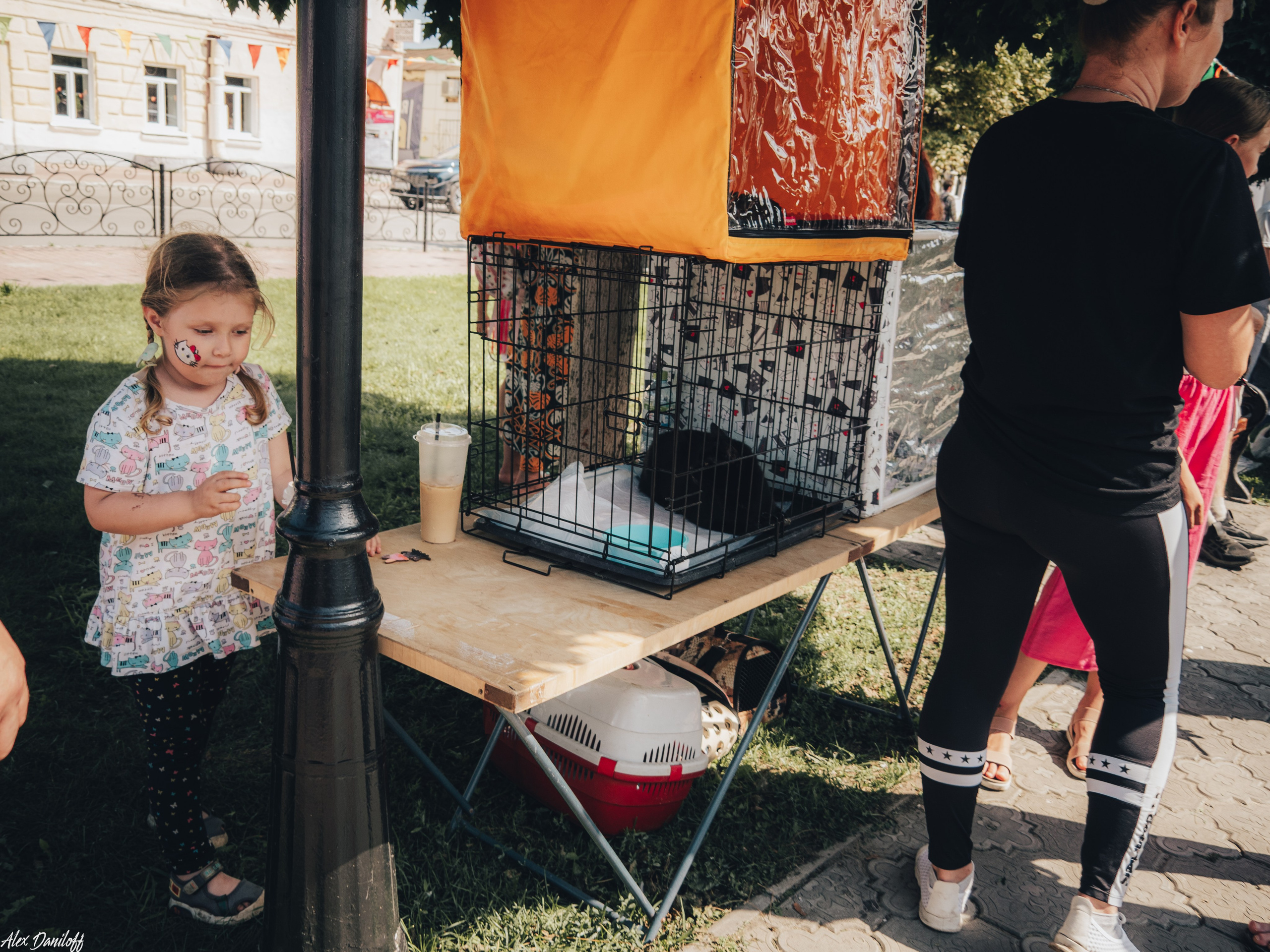 Мурфест 2025. Муром-Инфо. Новости культуры, образования, спорта в городе Муром