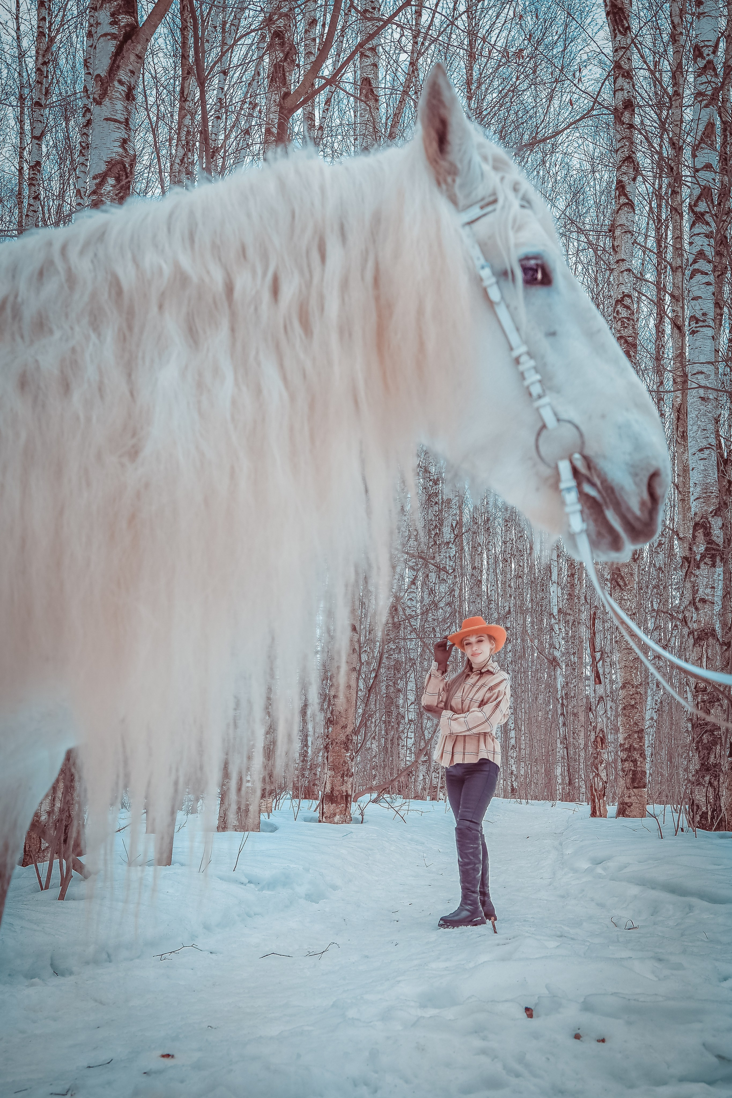 Конная прогулка с Ириной!. Фотограф Нина Пашина — Пермь
