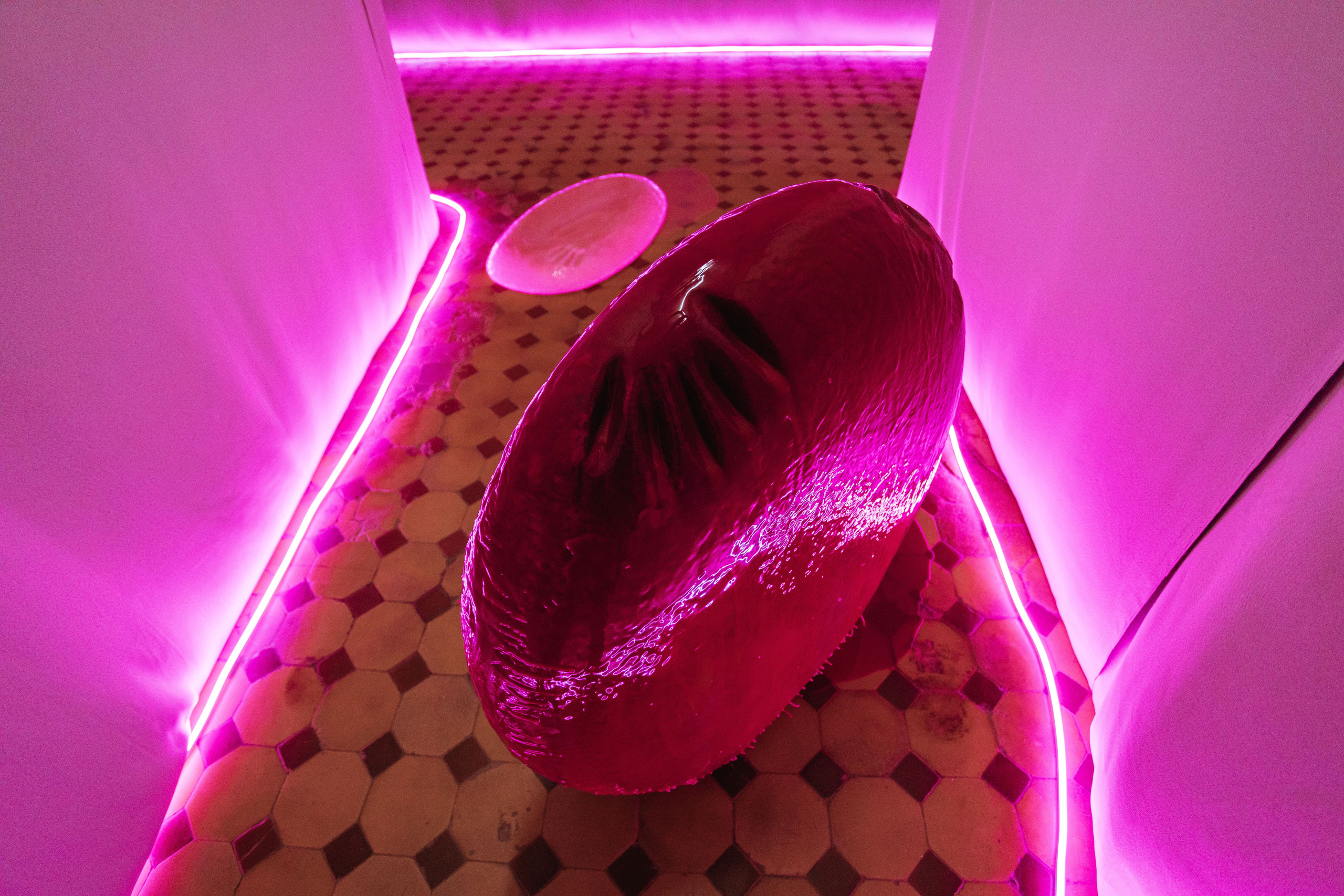 Invisible Touches. Katerina Sokolovskaya