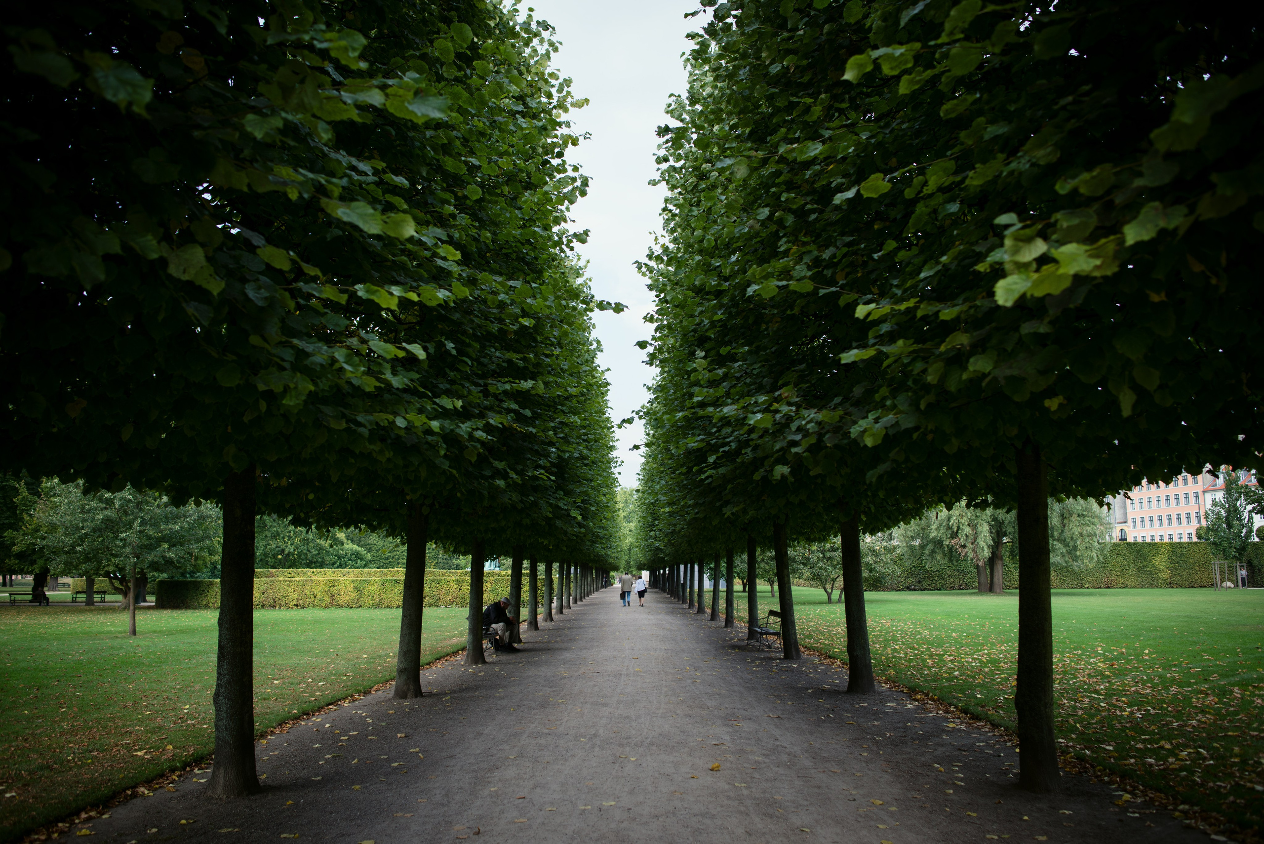 Пейзажи. Фотограф в Санкт-Петербурге Мария Мельникова