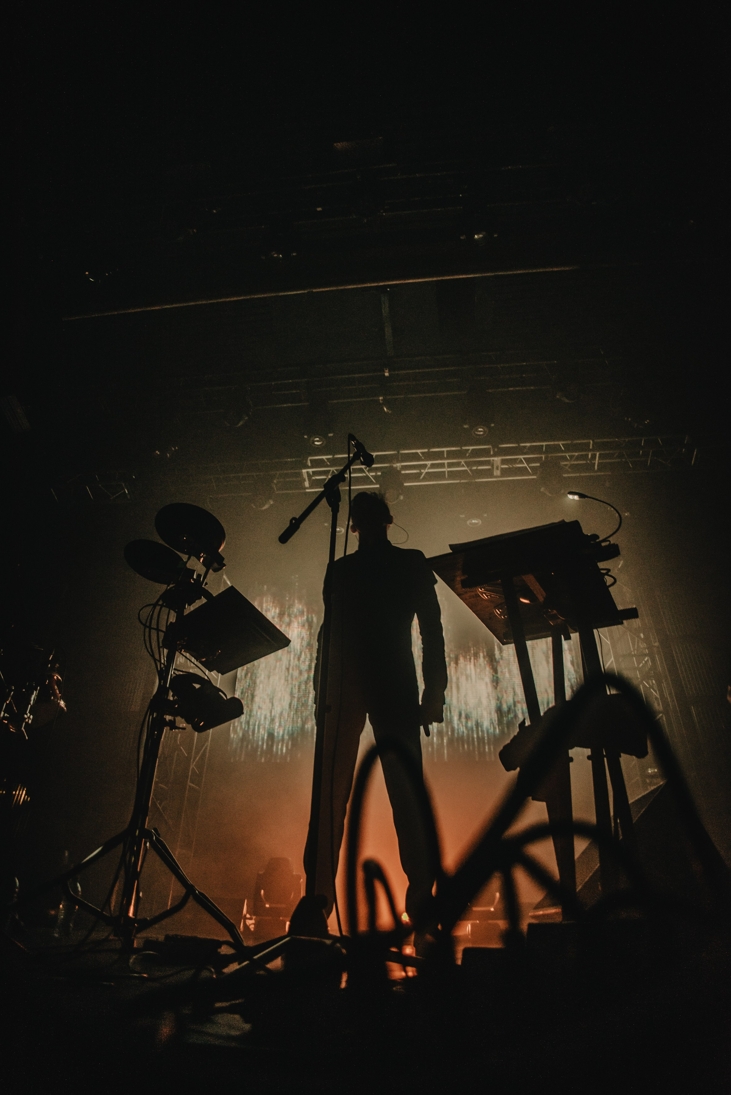 Дельфин | Gaudi. Контент фотограф Илья Урс