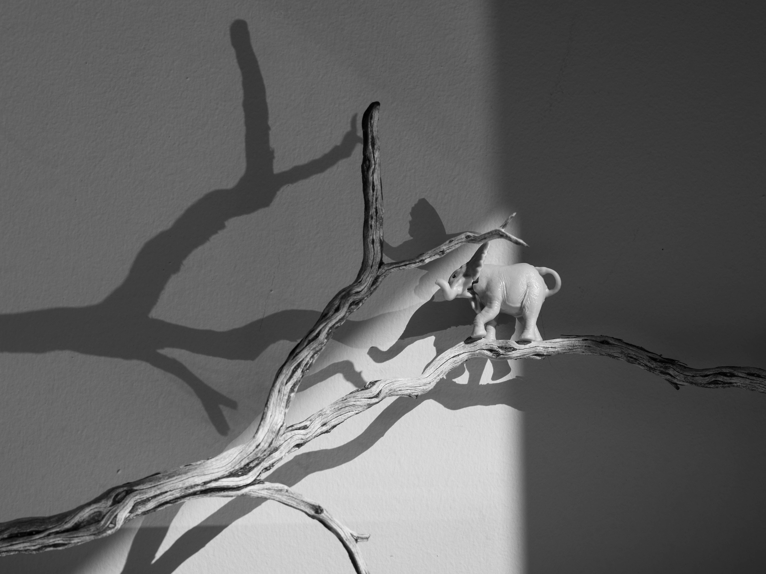 Project. Ula Aldokhina