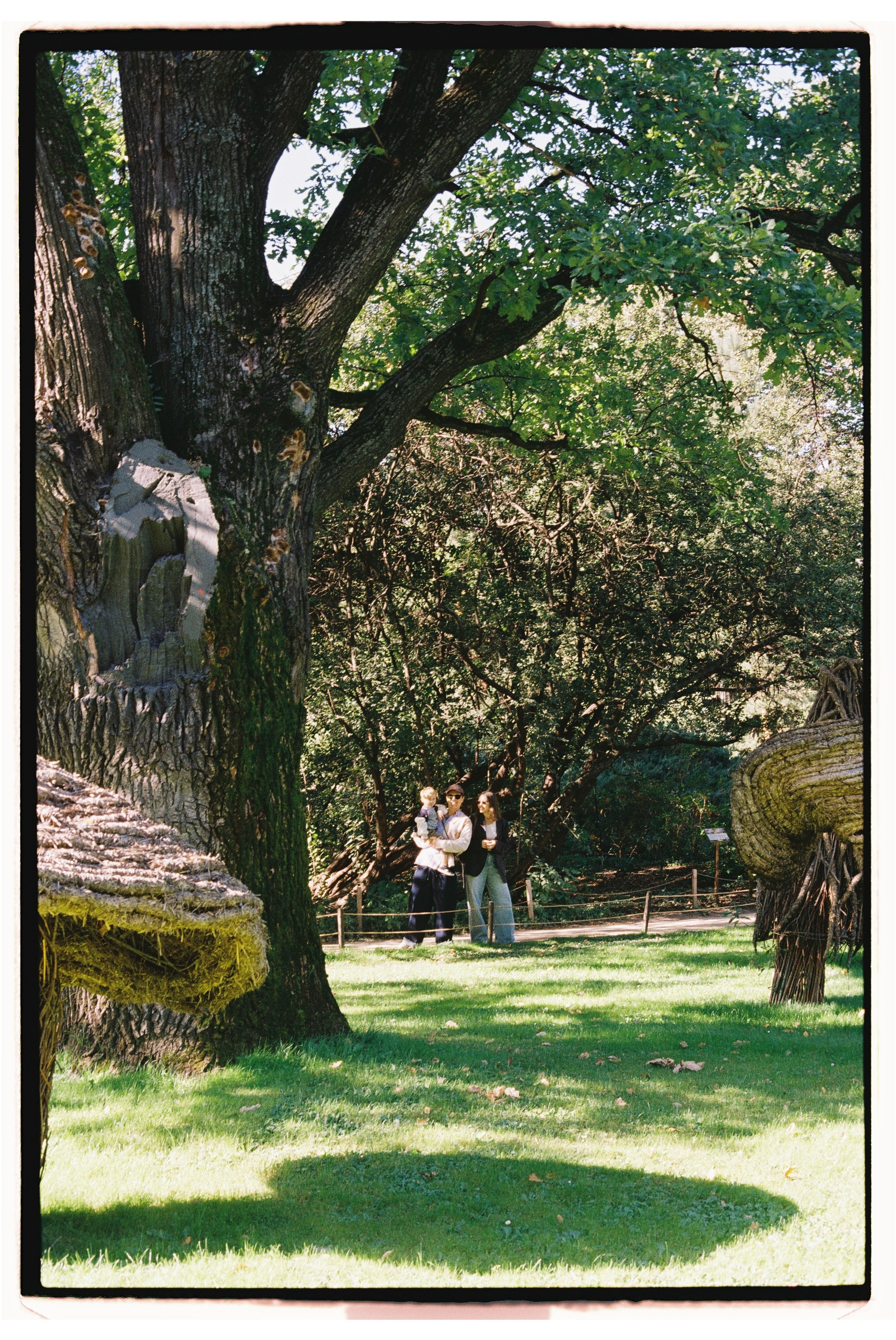 Аптекарский огород / пленка. Кизя Мисриева — фотограф: плёнка, цифра. Москва и не только